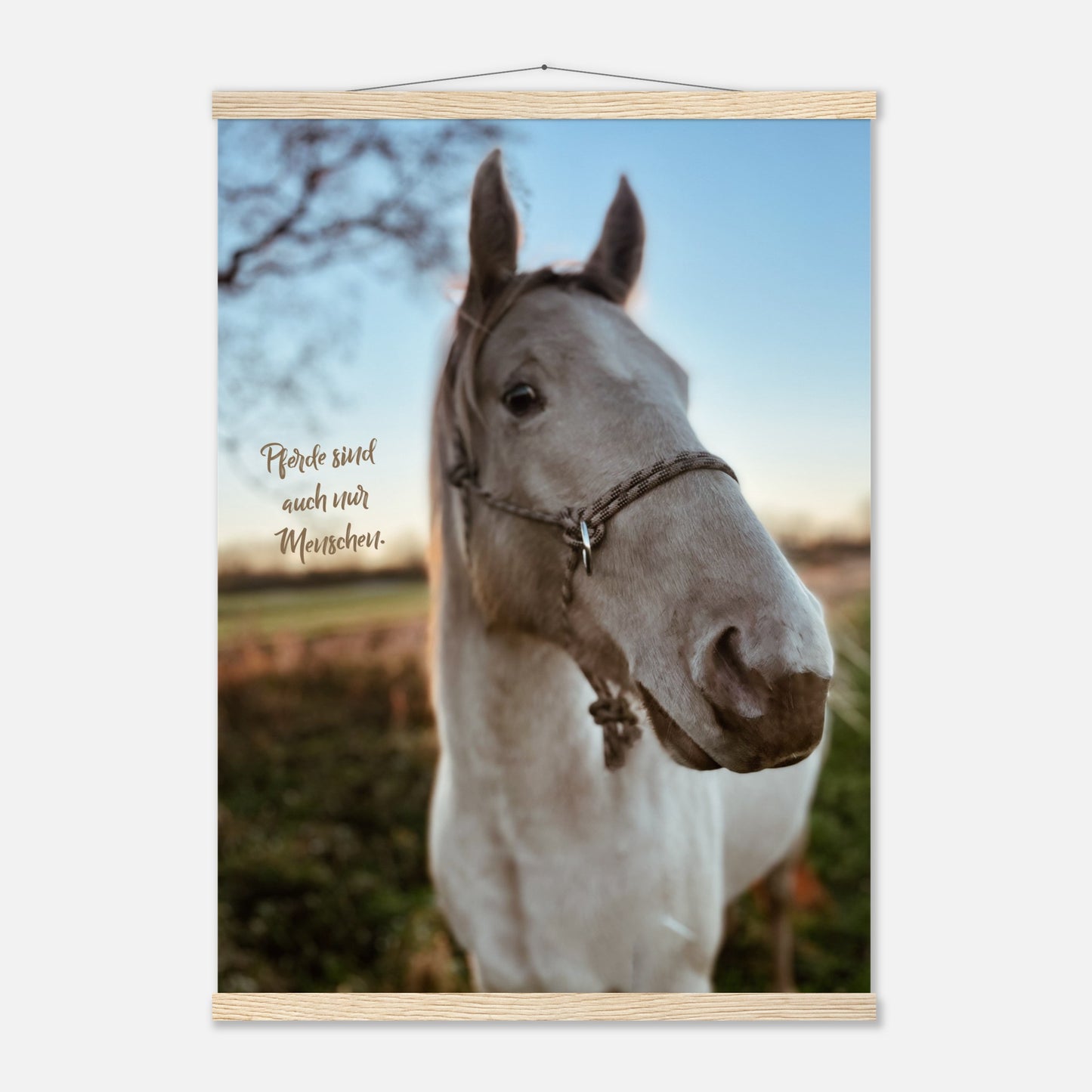 12d8d4ae-c76a-4736-ac77-14bc223b894f