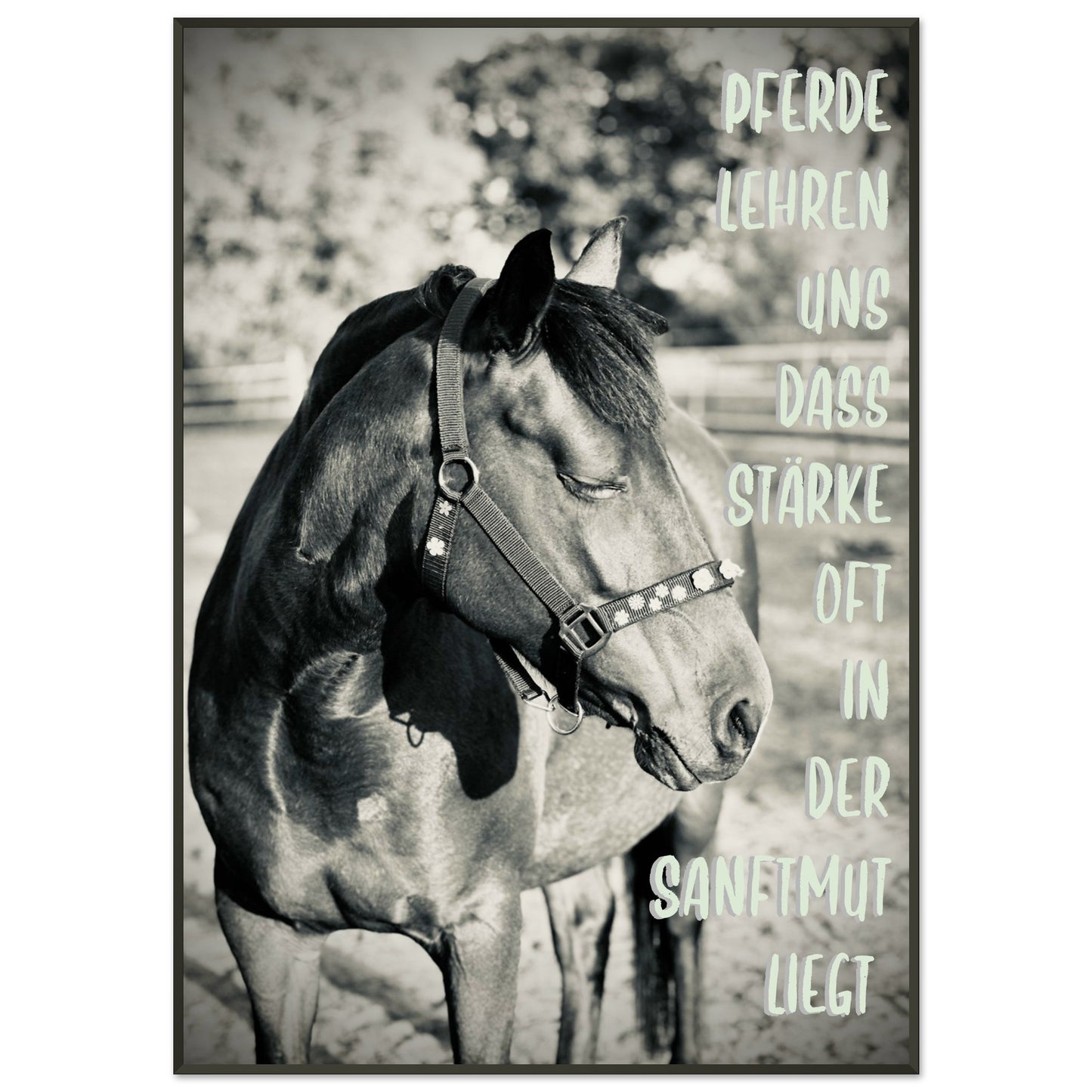 607447d8-7049-4dd4-8fea-284405bd1c79