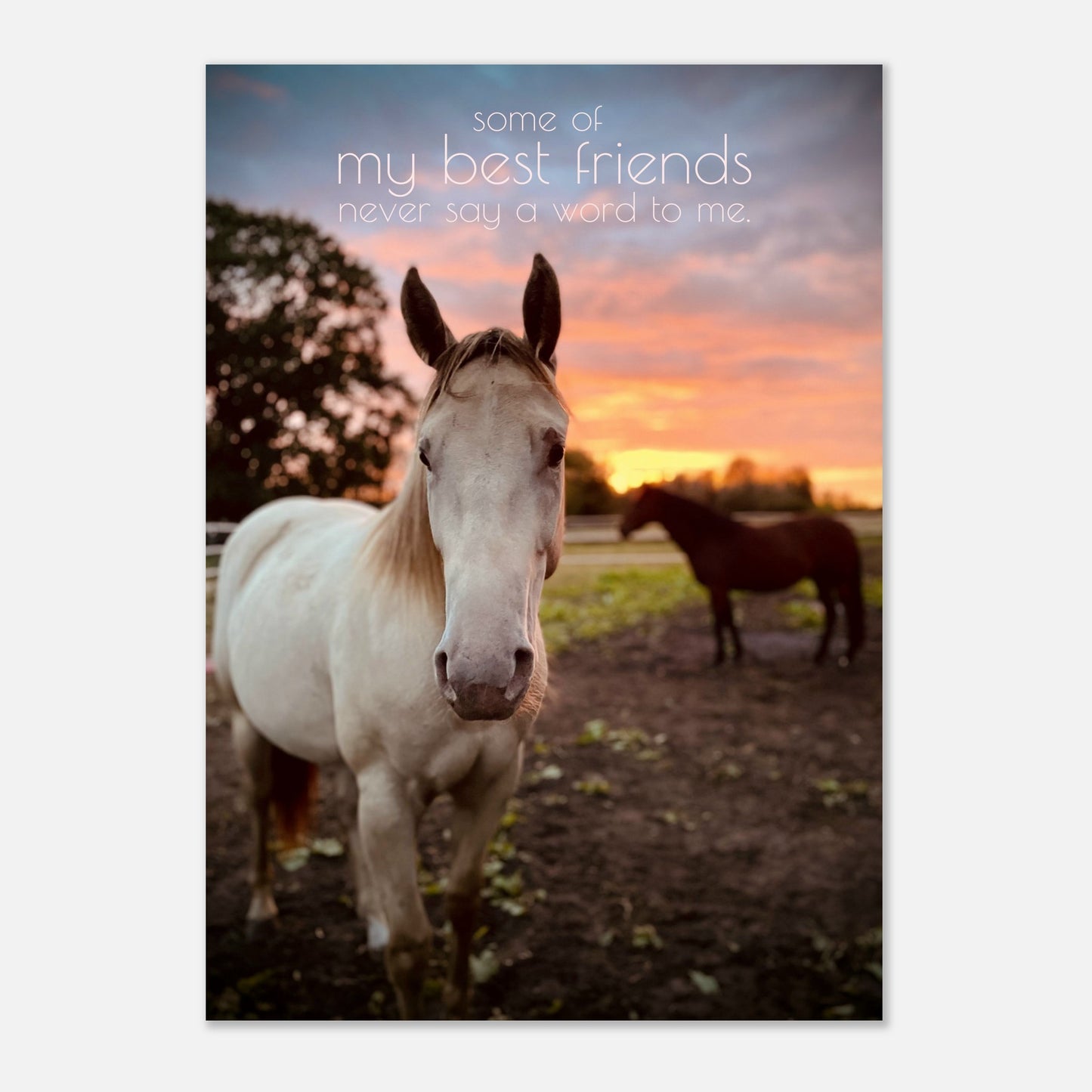 cef7a23f-9683-408a-b95c-06f70bc51fef