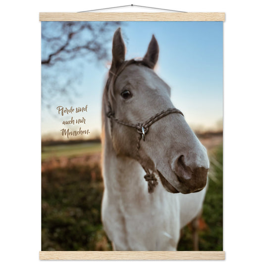 e742016d-daf4-4057-a7d6-cac2d23da4ef