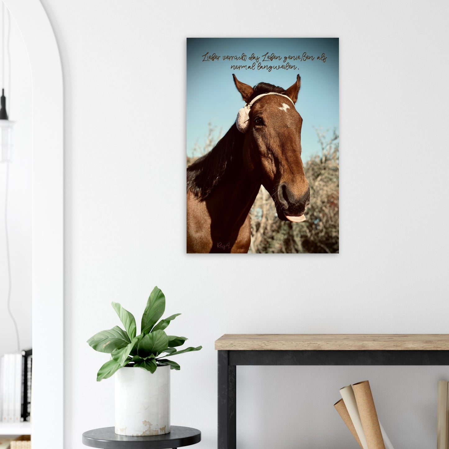 fd568d45-7ef5-4b91-b4d5-f4cdd9e0642a