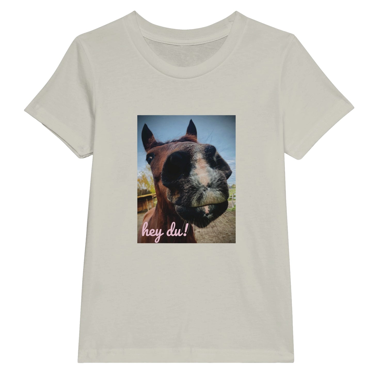 017d30db-e9ce-416c-b206-73e3f135ecd9