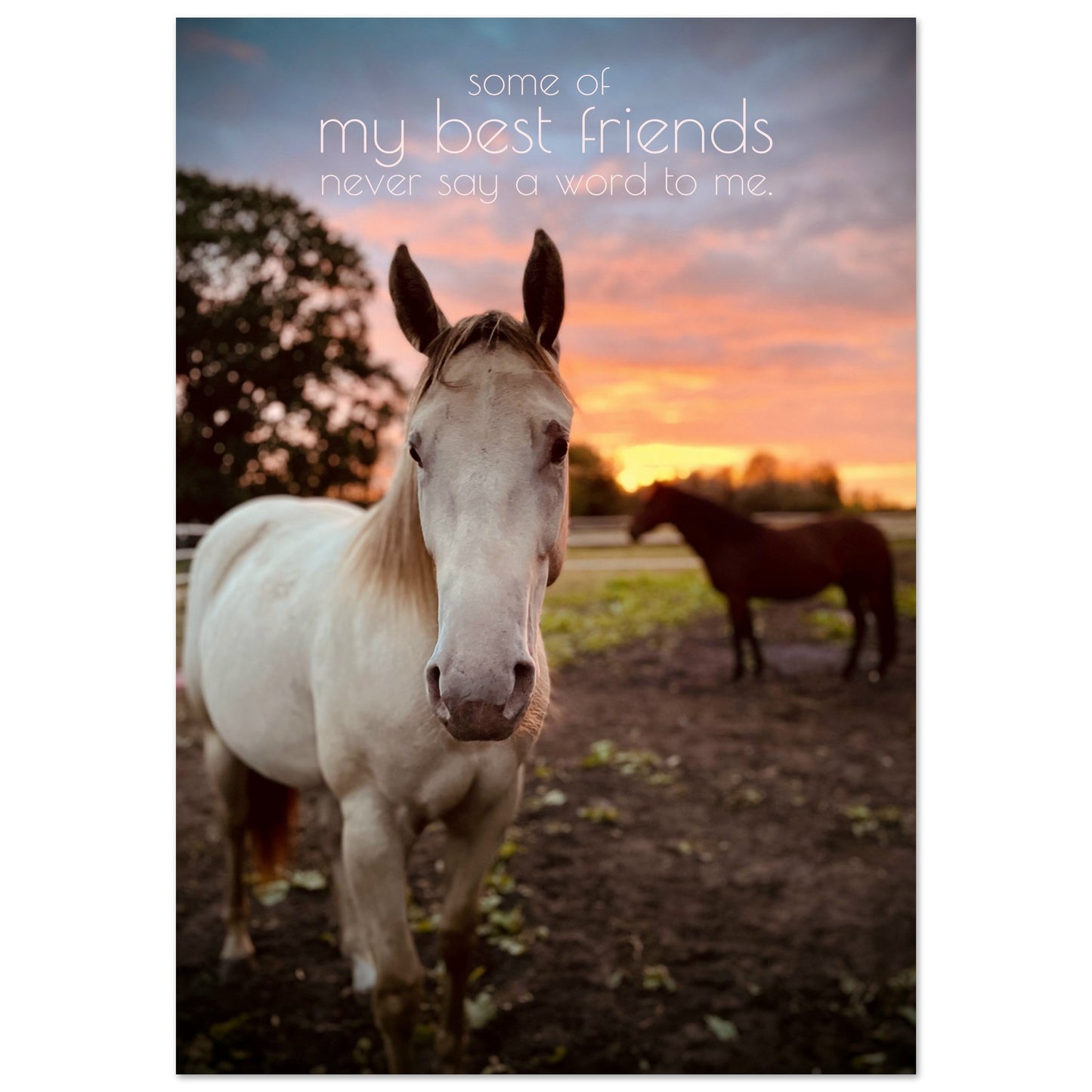 02db4fb4-90ec-4dae-9440-f8440511bfef