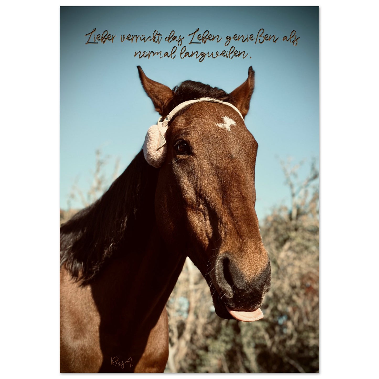 0be90d8d-dd1d-44d9-a7b4-b28266b8ad96