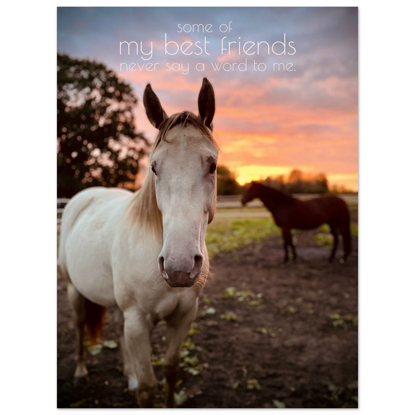 0ecc82f1-3490-4f0d-a384-6c2e248e8bc1