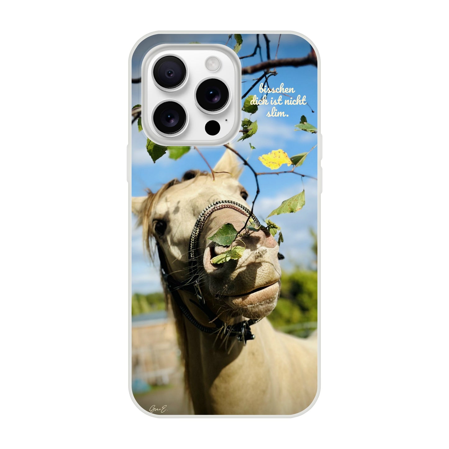 1156c255-37a9-42ed-978f-8c2b21e38482