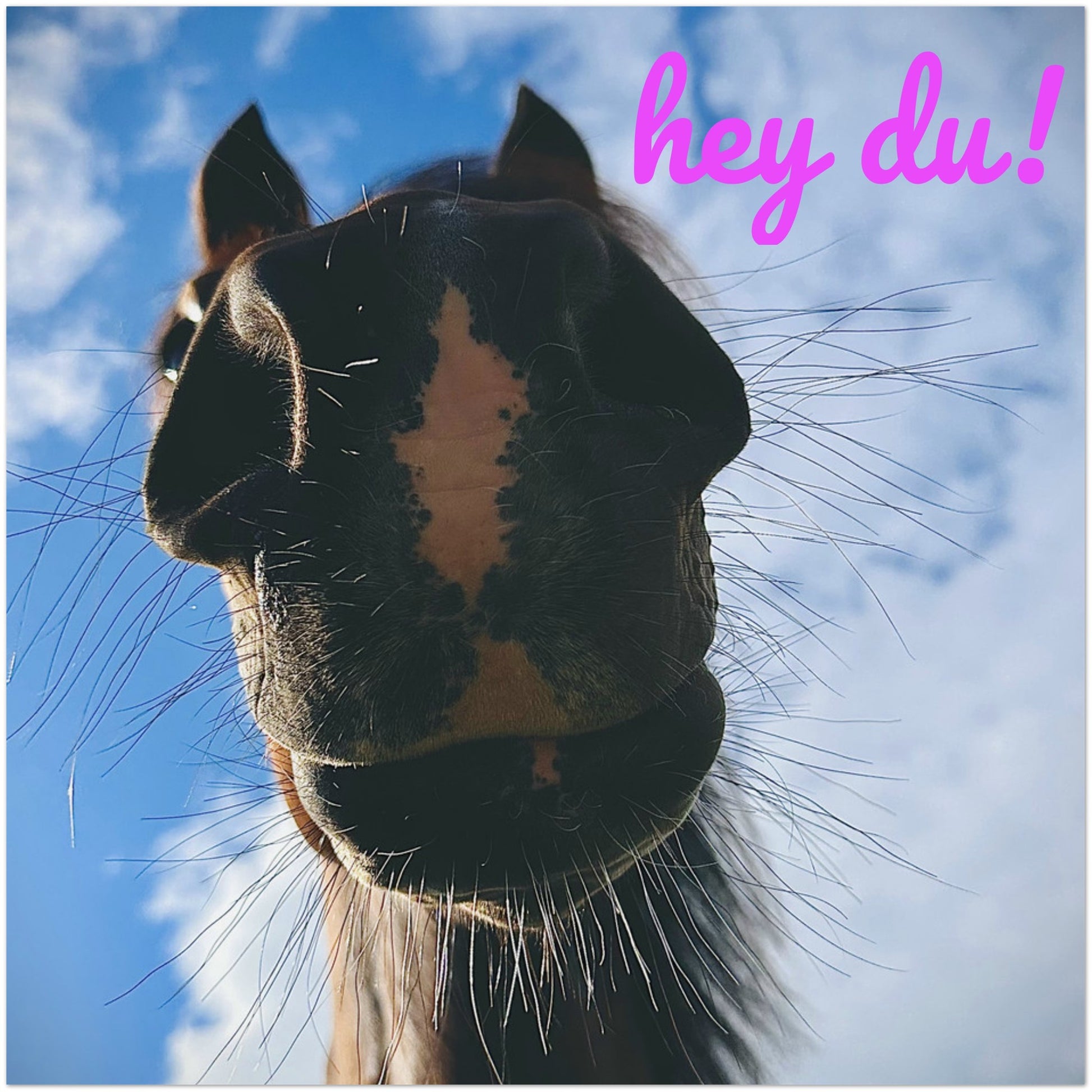 154bc6ce-5815-4fd1-9ac8-ce15975aff03