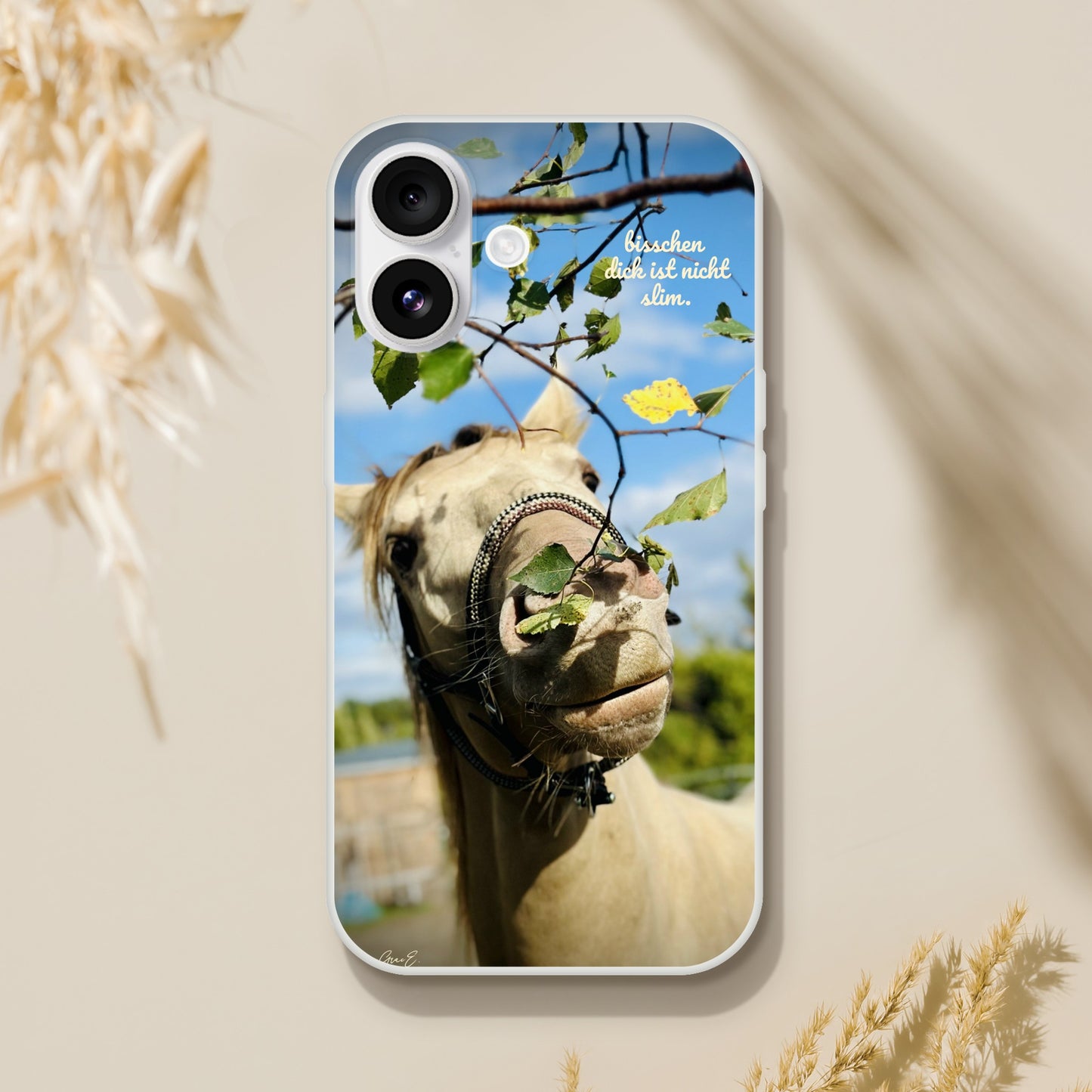 184cebdc-ed5c-4e50-9804-cfe1a11f8a93