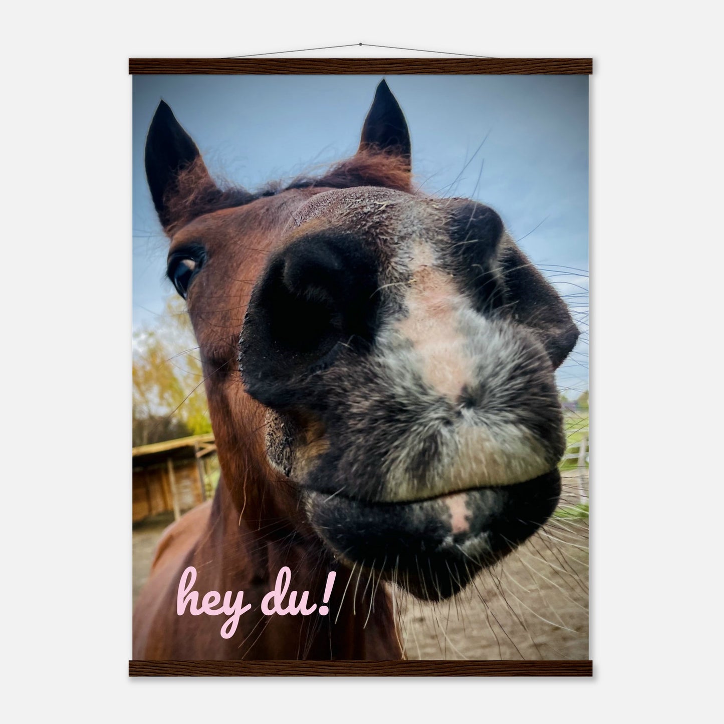 1d4d3b51-f394-4681-aece-869796fdb9e1