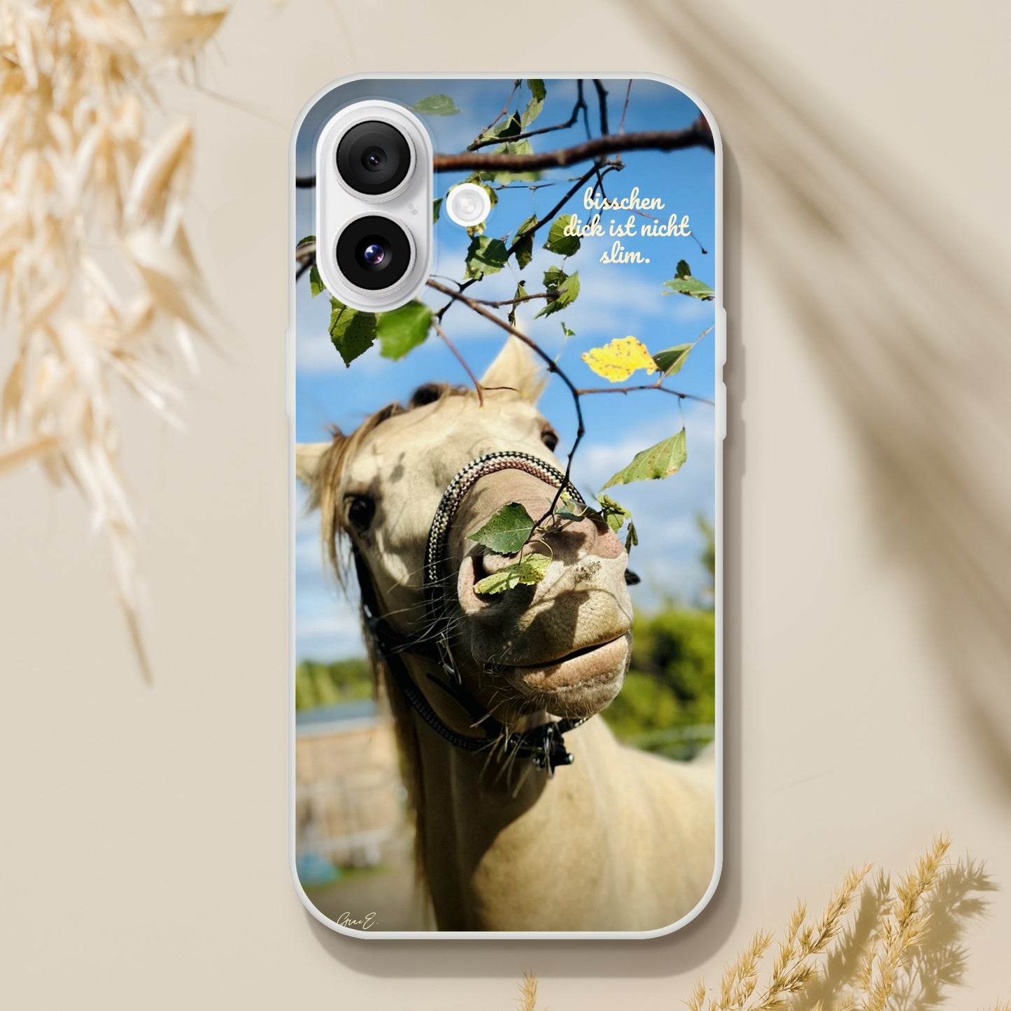 233984ad-2cea-440a-98ff-6f144e9d8ba9