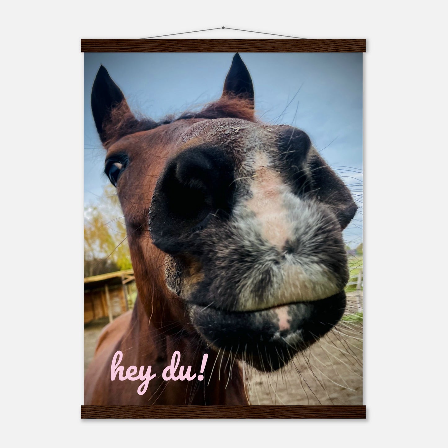 23945273-4b14-424d-bbfc-e615ff6bdabf