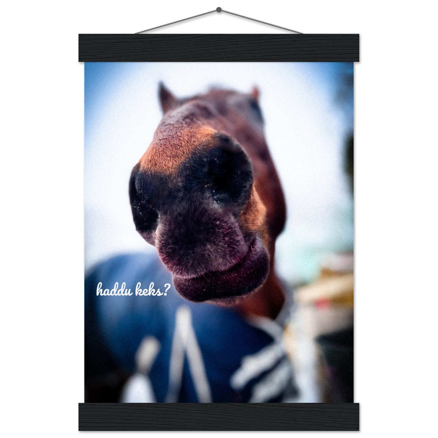 24860019-6858-4cb1-a602-88fa08bb1b64