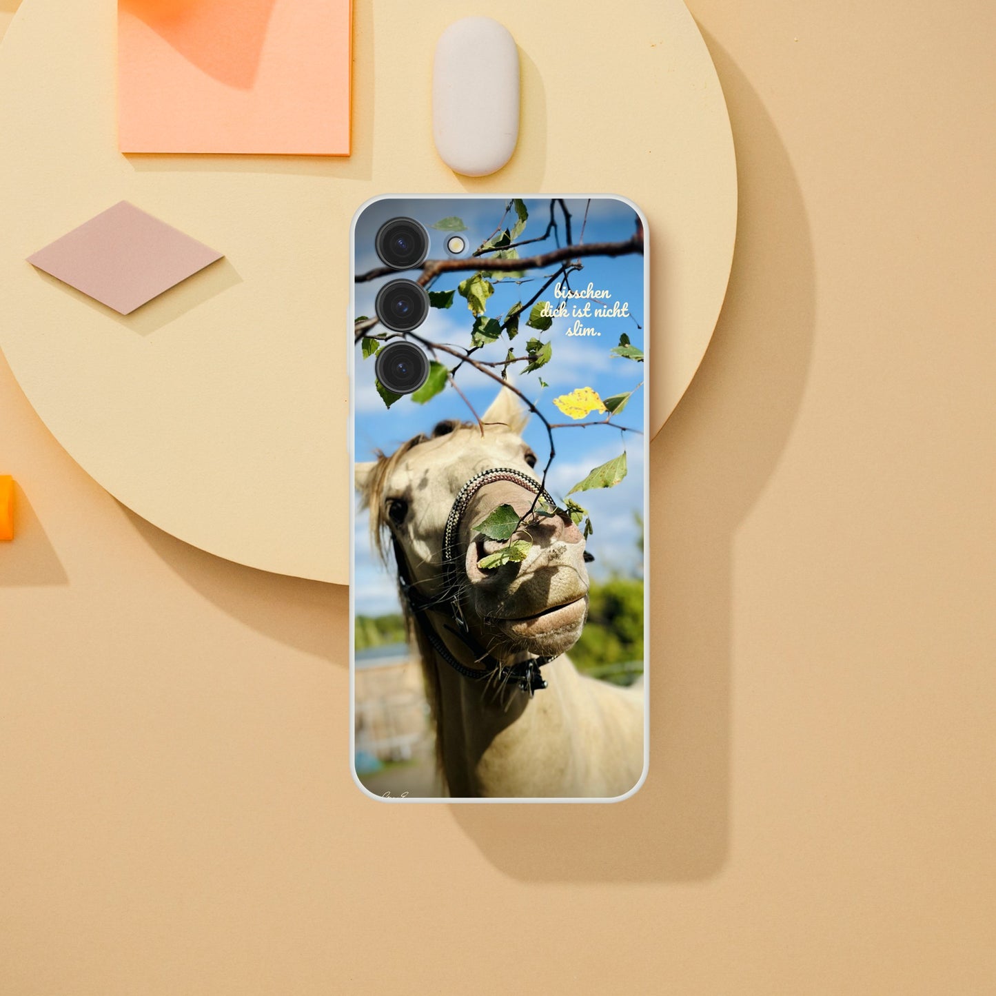 2a6e482e-5d3e-4397-8915-76b8385983d0