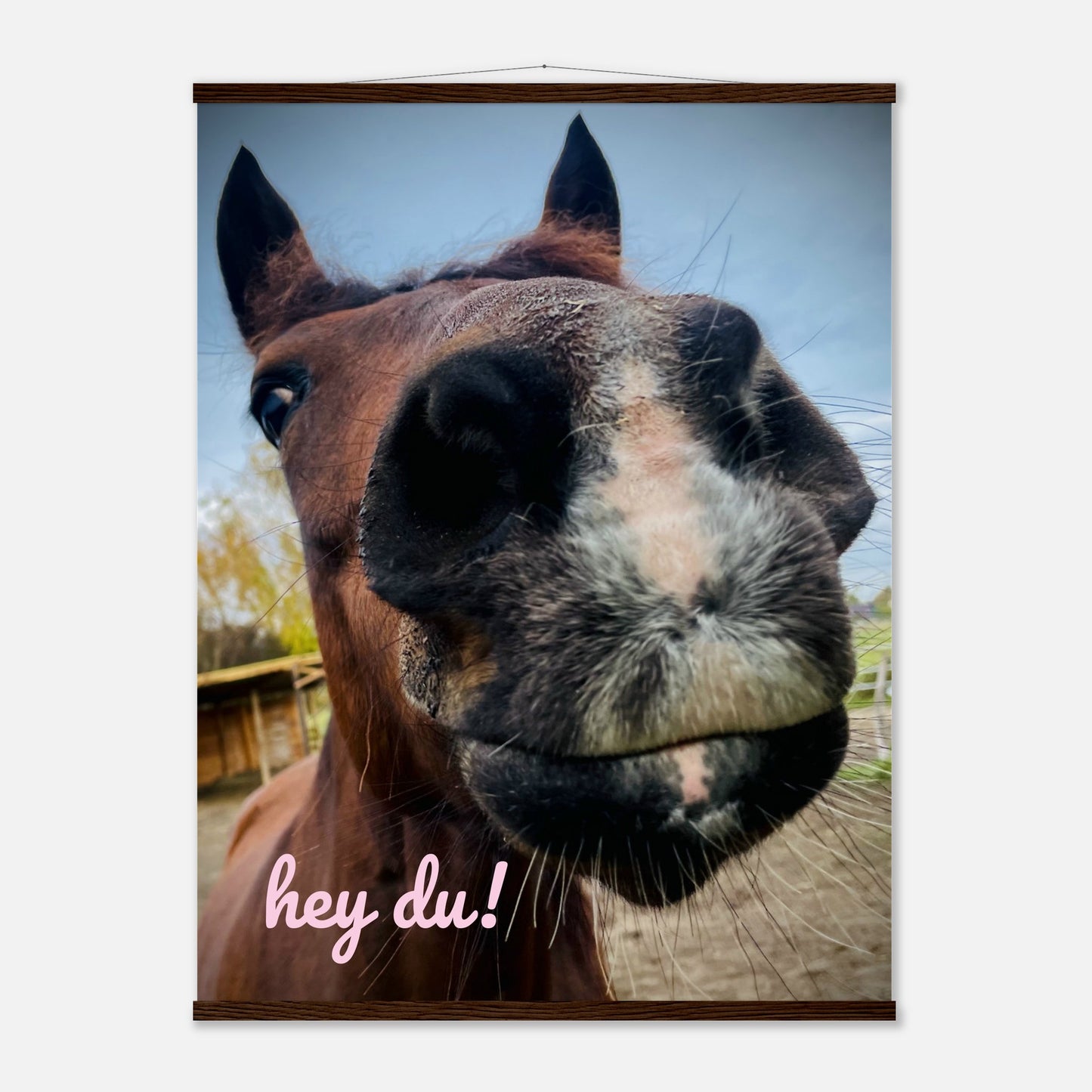 30056f3c-824a-4a18-90bb-a856e9e7c2bb