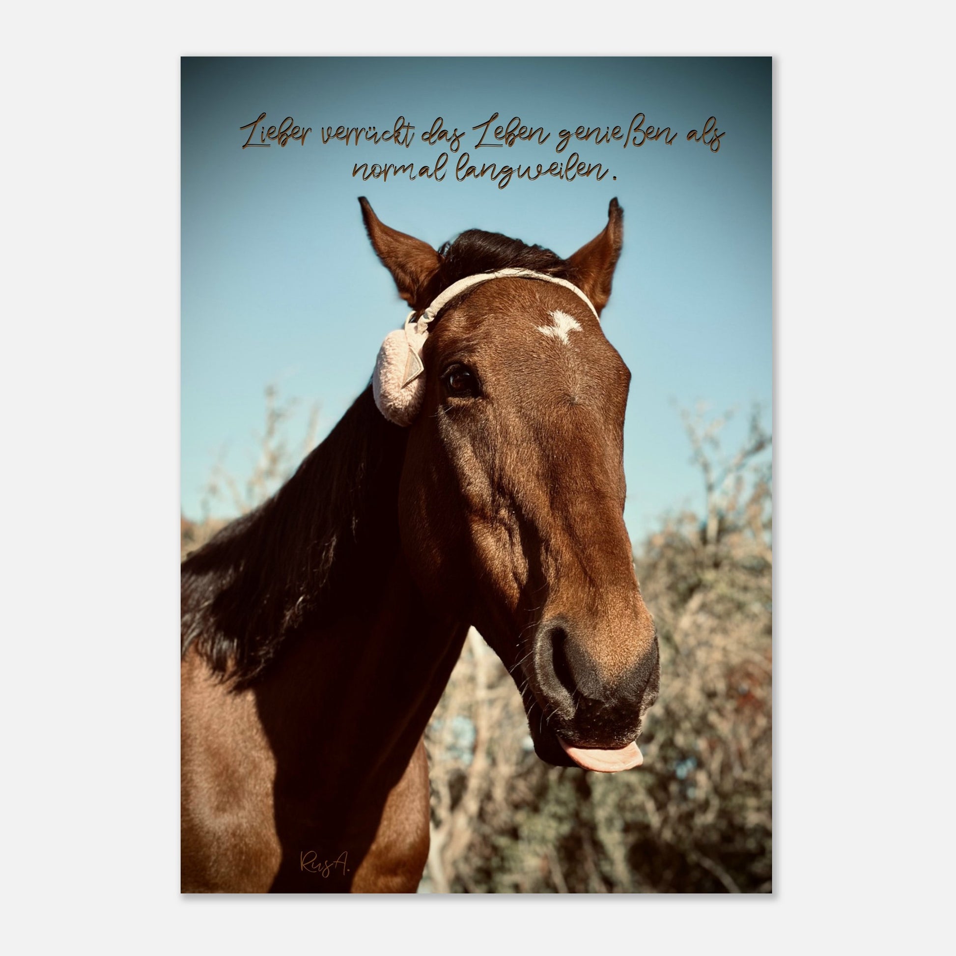 3222f3ae-eb02-46e6-81d0-78f92c6014e3