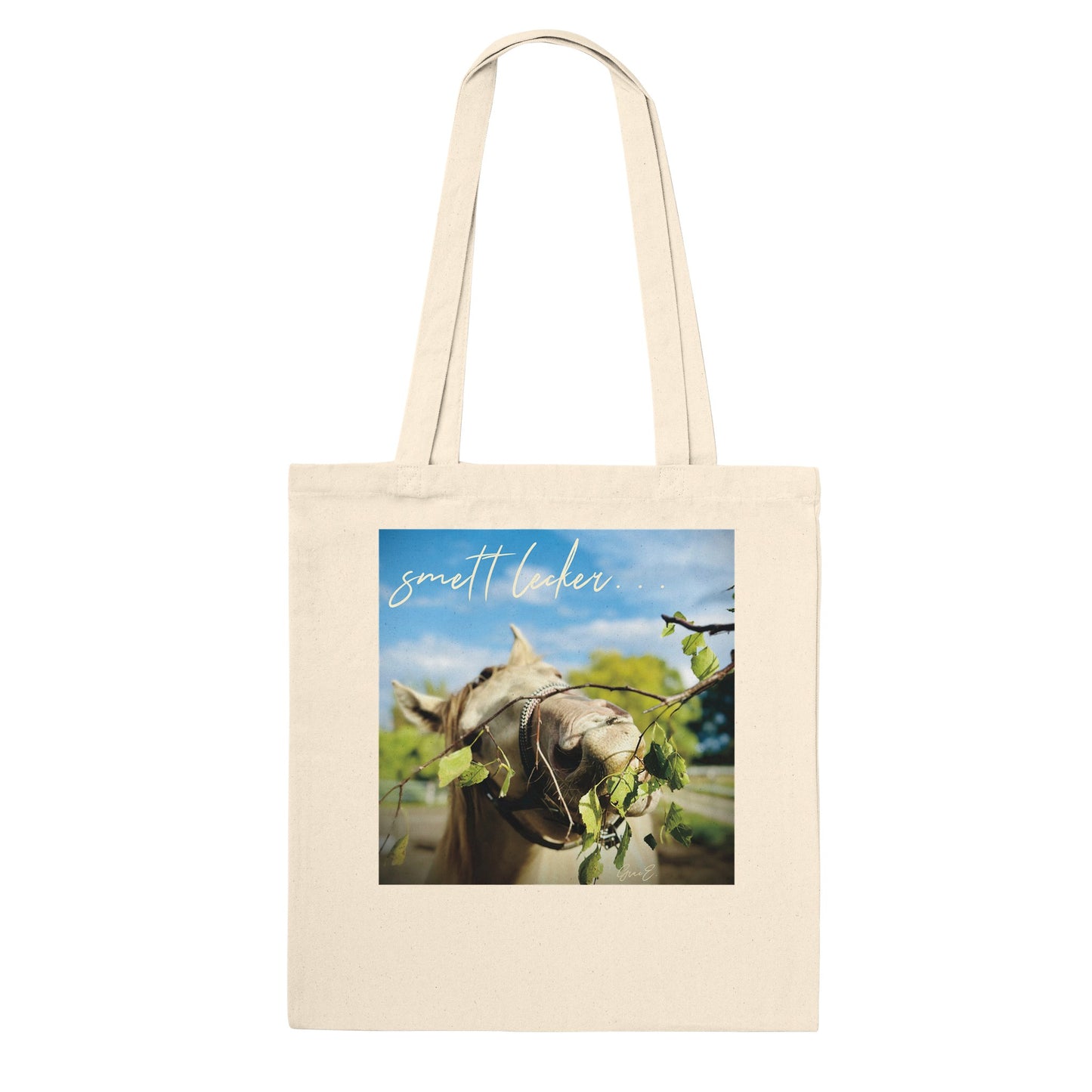 365d3d8c-9d6b-4315-992b-150068442914