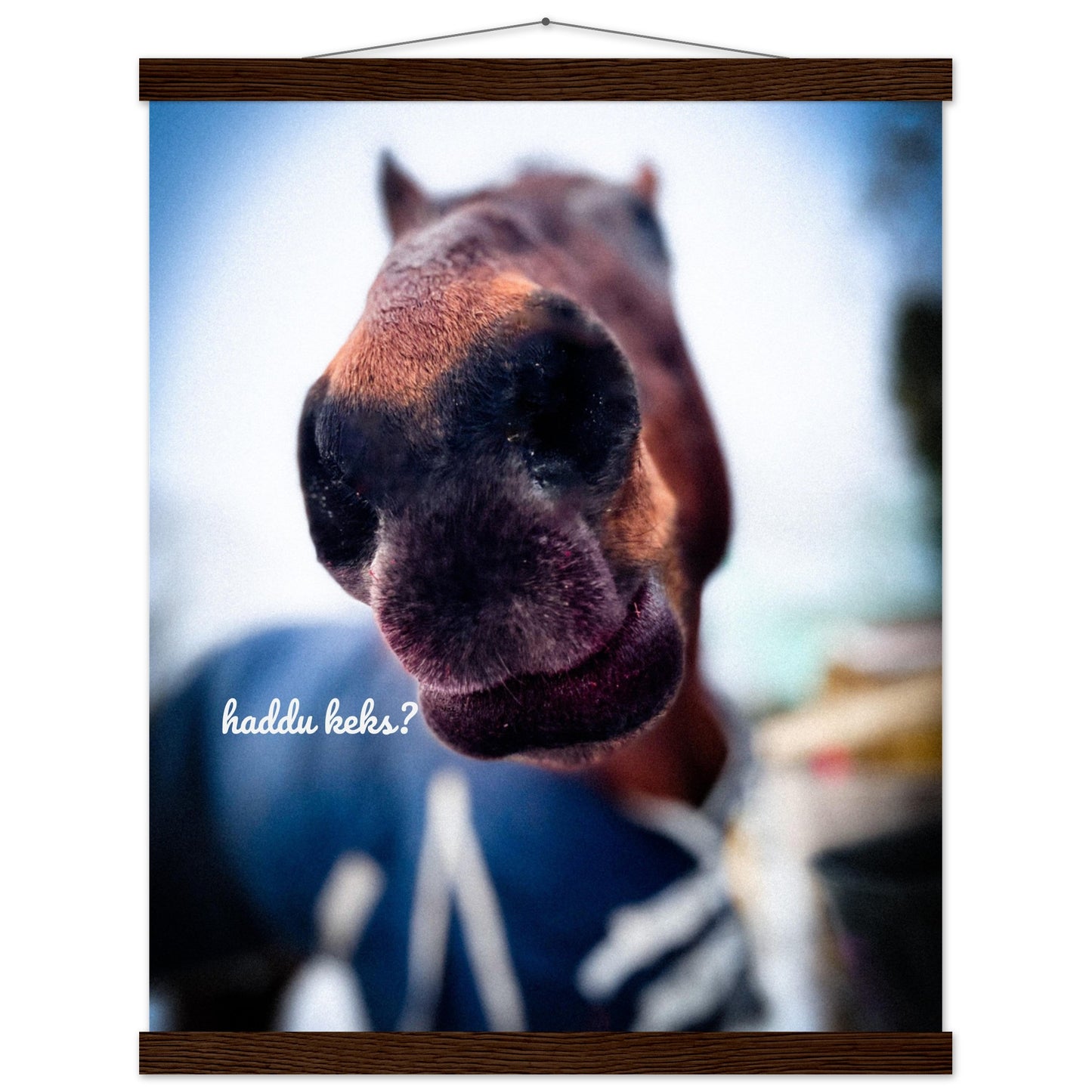 3ae5908f-4cba-4701-91a2-b90d9cc36e1b