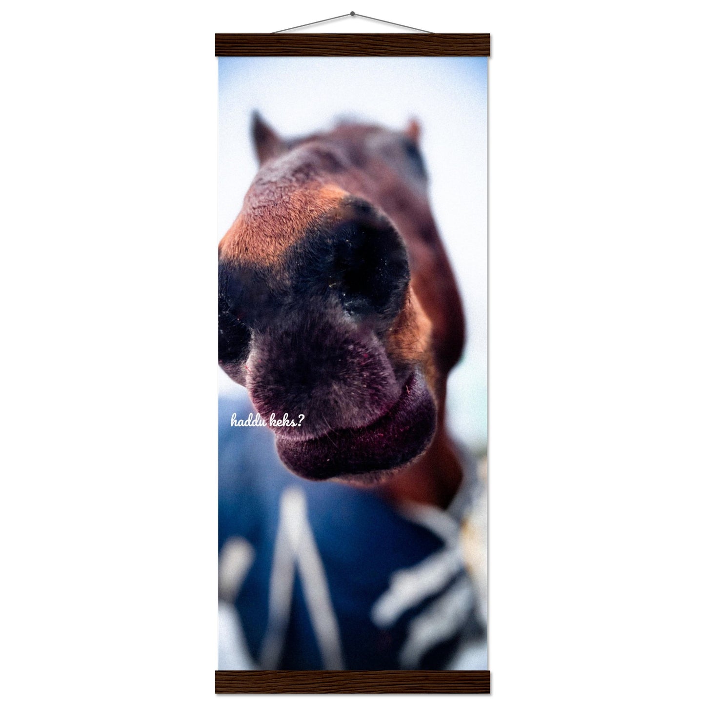 40ba63eb-89ea-4fe0-8137-588b493271bf