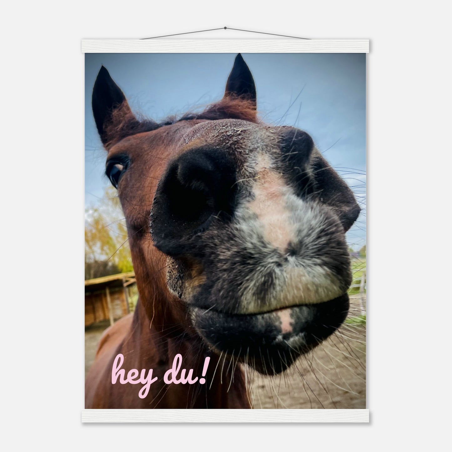 55871711-170a-43d0-9f8e-2ccc05d36c81