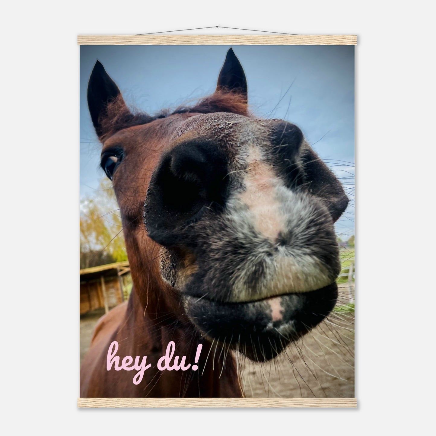 63b2b269-a919-4d6f-8782-688b627fce11