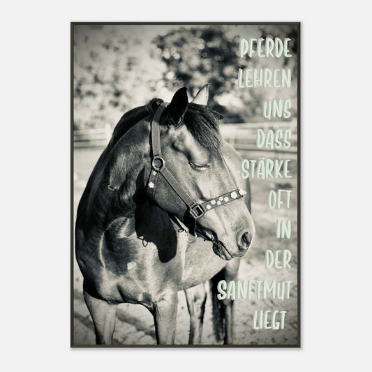 7694320d-3ec3-44aa-a88d-b102e9269f2c