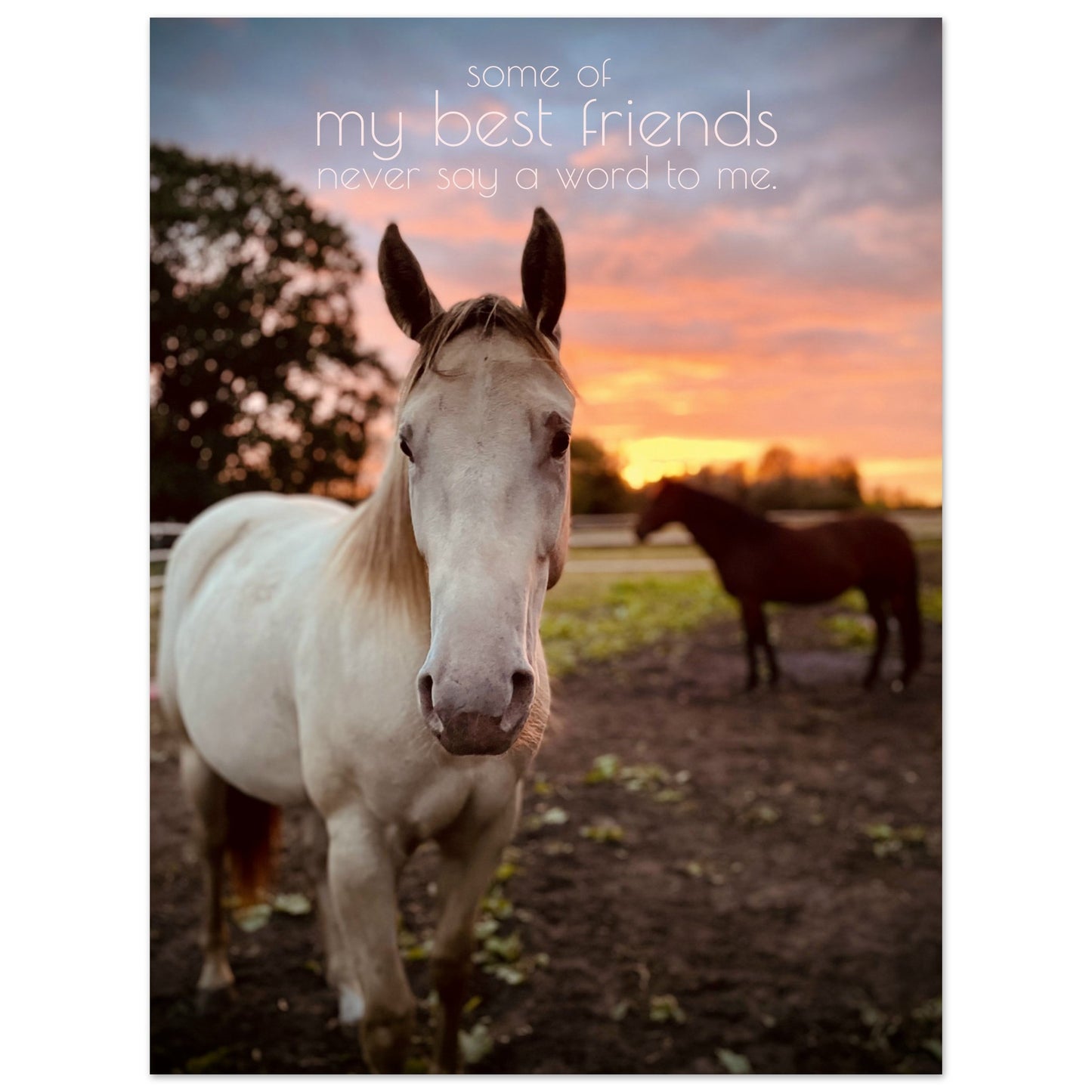 77af1f74-fc67-477d-8226-4a8185f9cc79