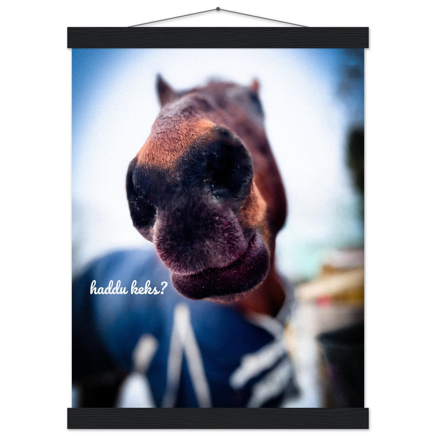 856a2f9d-6456-441b-92a5-2ac920b33e0d