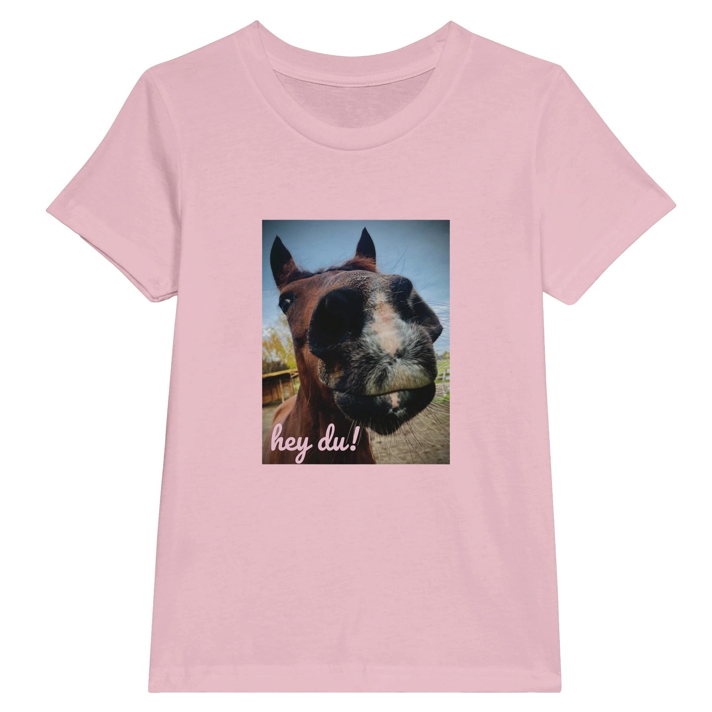 8a519e27-5ddb-4118-a56d-839152a94351