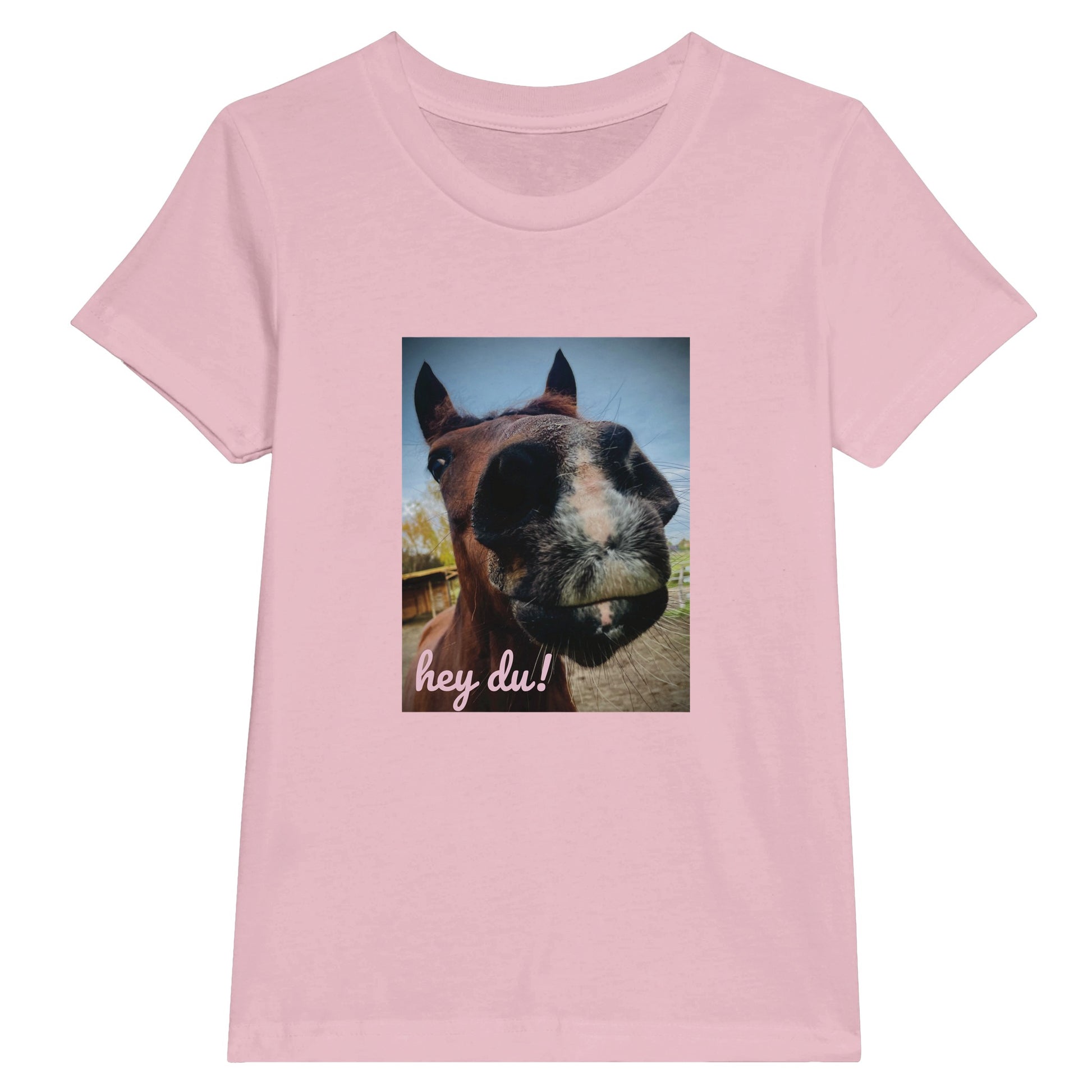 8a519e27-5ddb-4118-a56d-839152a94351