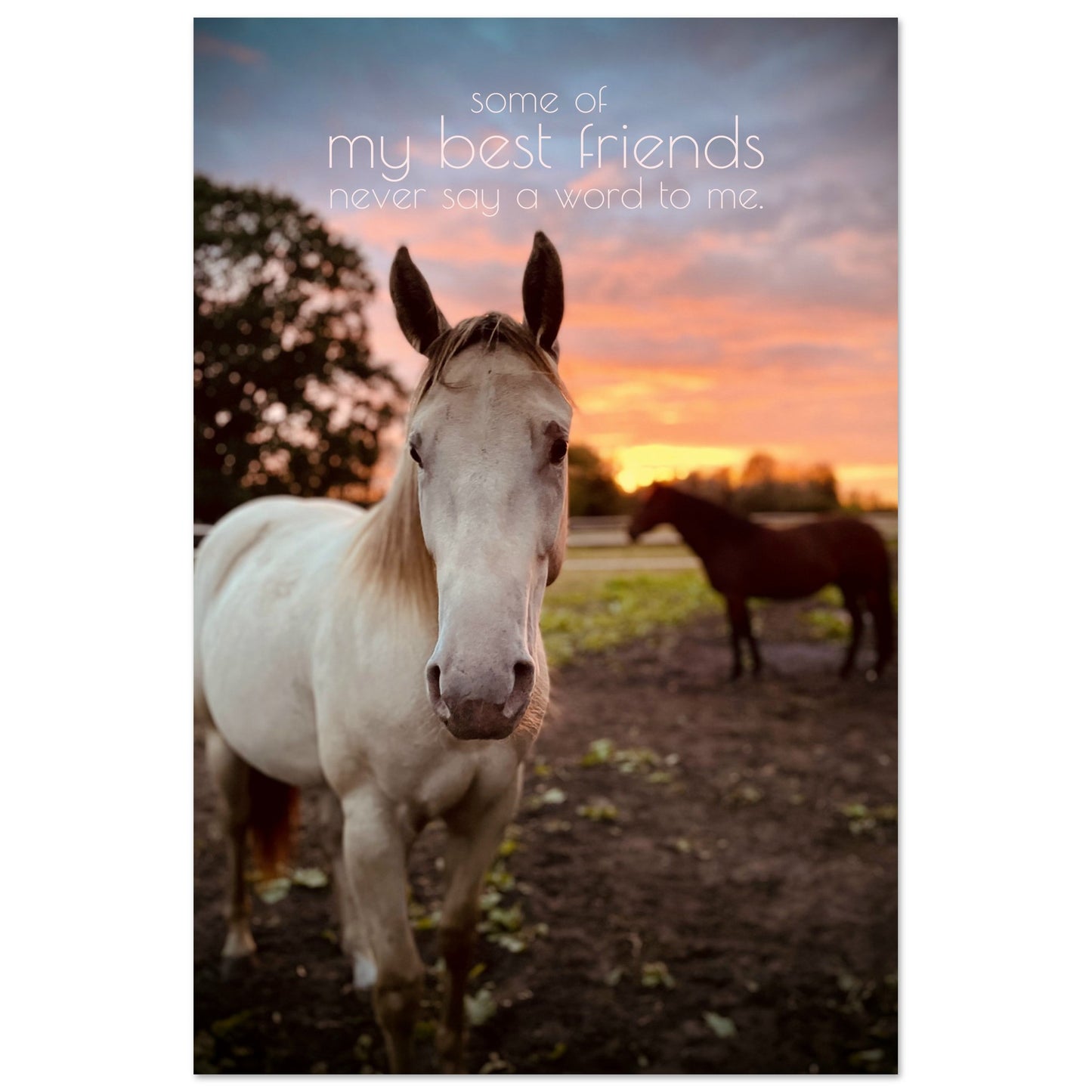 8f0bd4b6-1b64-4f2c-9e68-e5f1359c7cf0