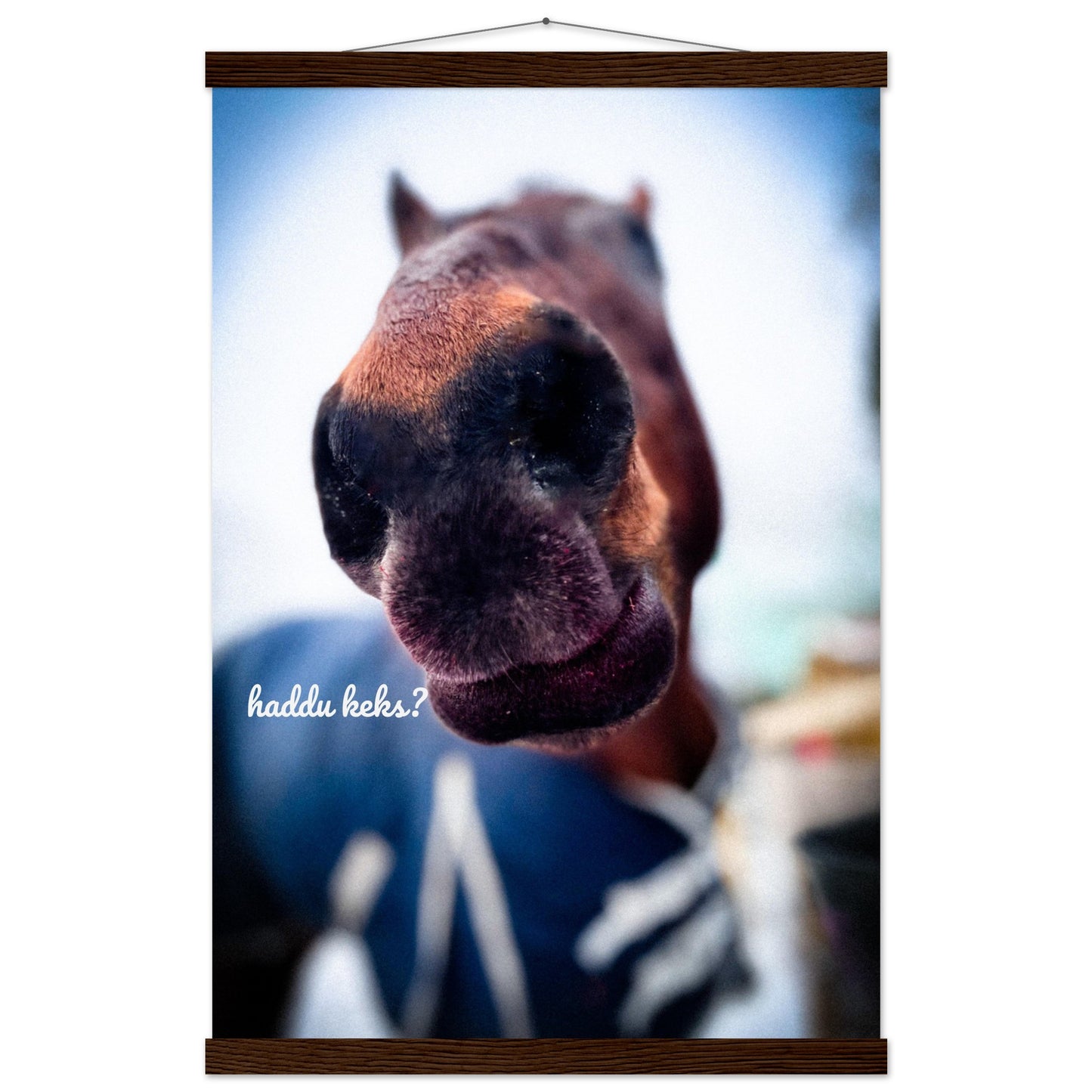 8ff9a585-23eb-40d7-90f8-69281ce6b5fa