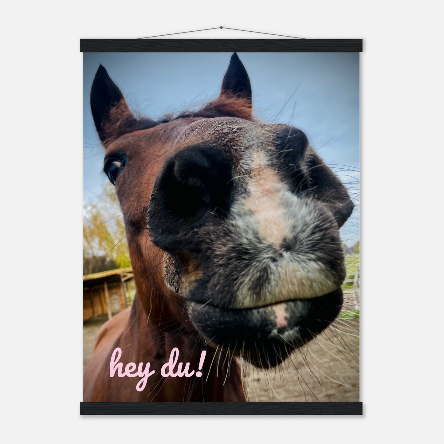 902ade94-a0f6-4fbc-9867-b0dc409eb64e