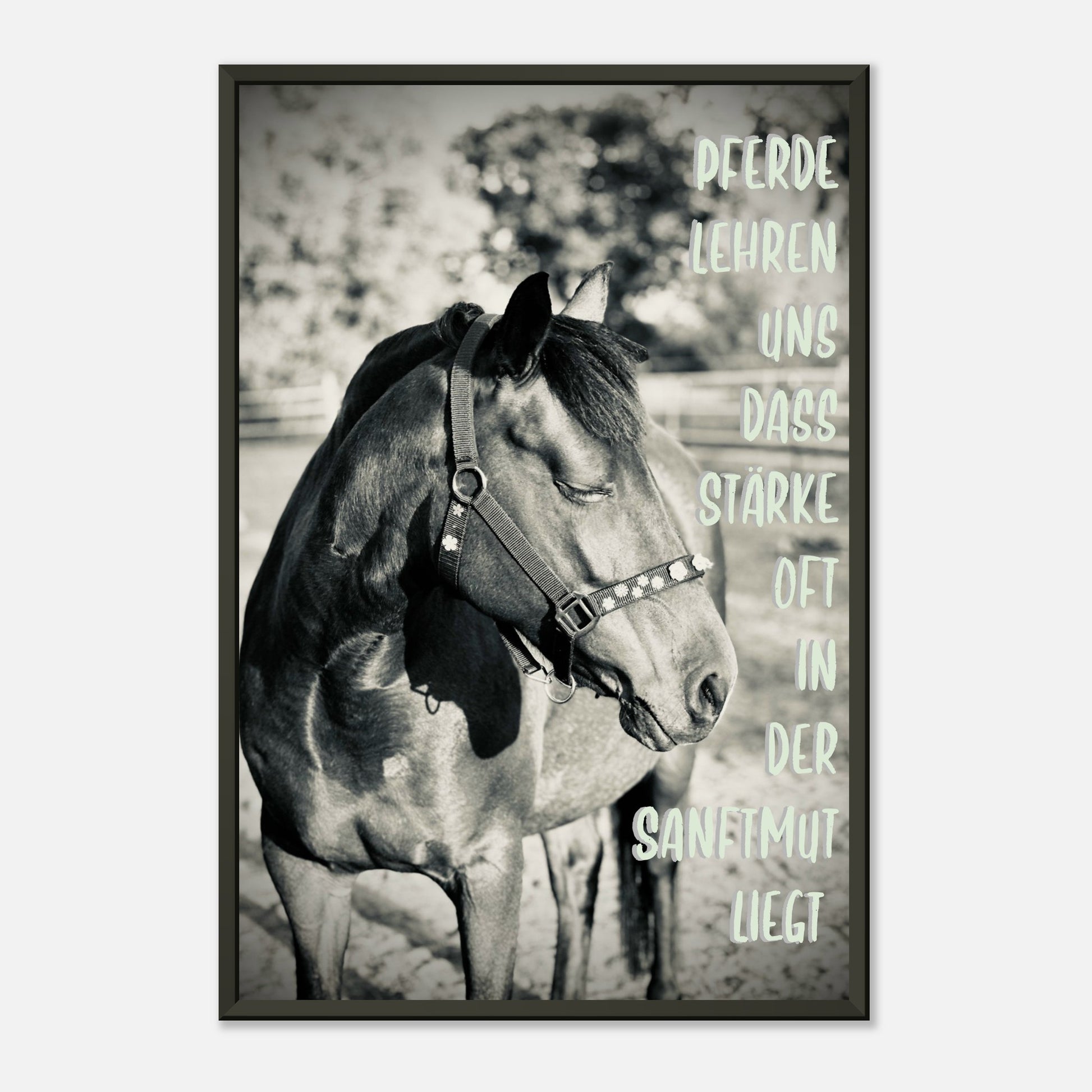 91eb9f86-f02f-4b9f-85df-0c0c4d6be24f