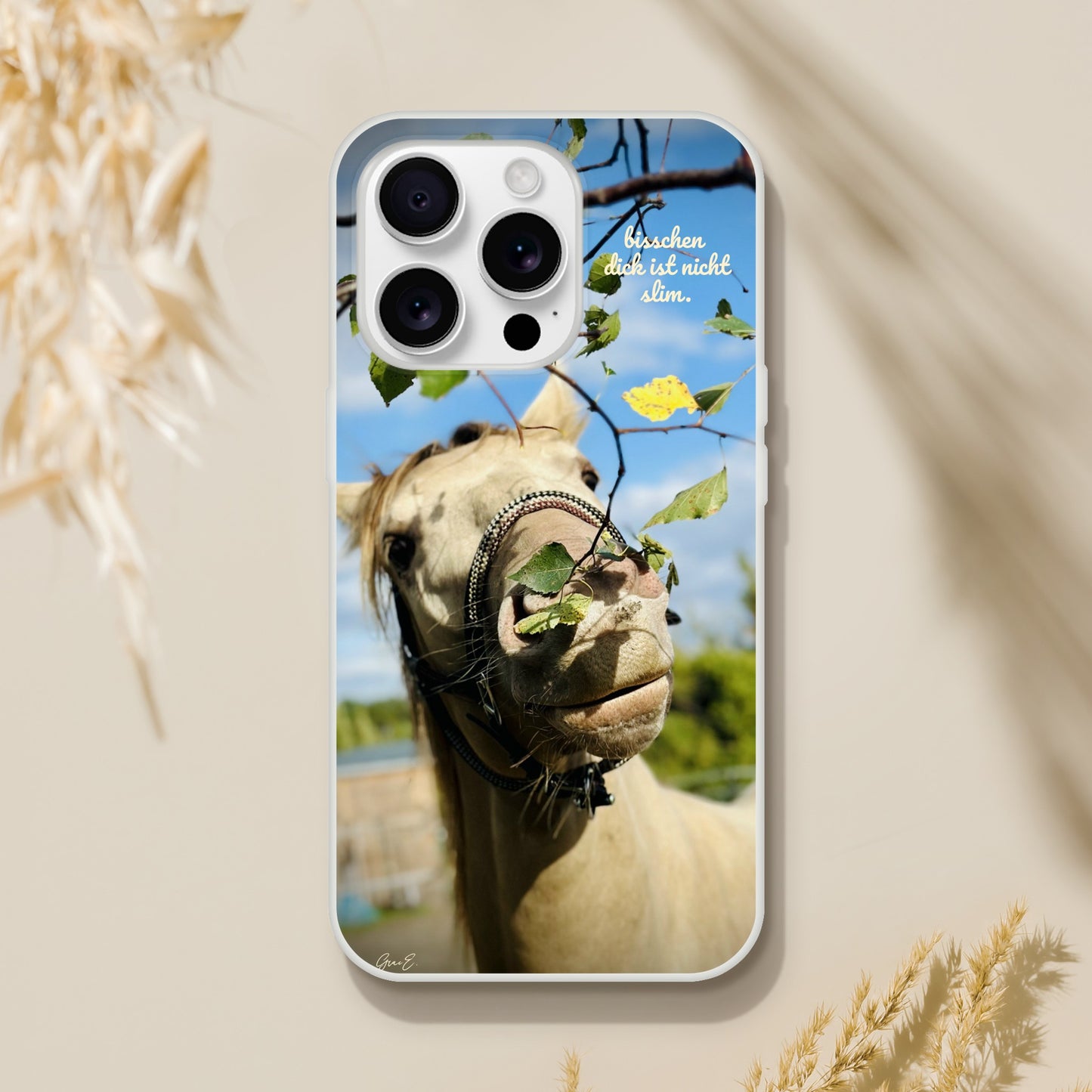 9200f98a-5bda-4015-842a-3d8e4f98079d