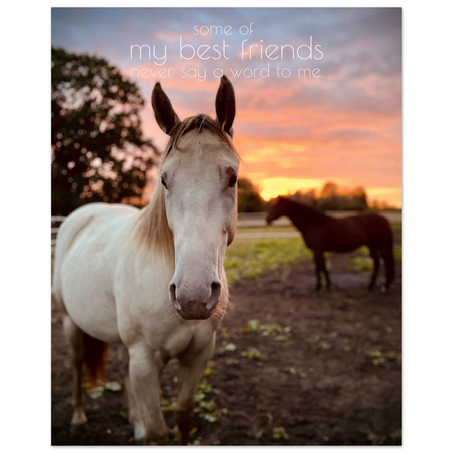 9b24e036-49e7-4741-bea9-fd83d8518f47