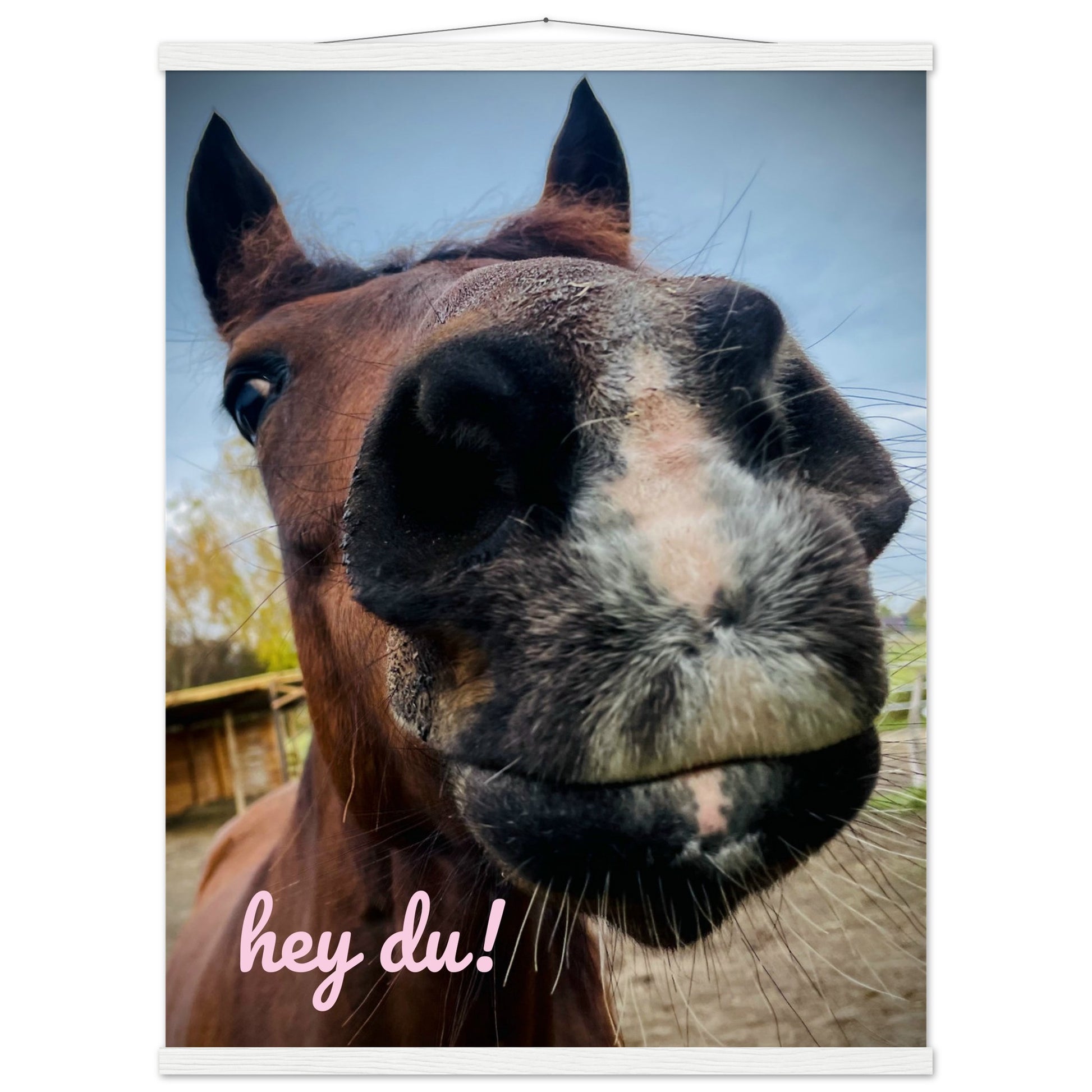 aed783cb-a1ae-47a4-9814-0ed93f005048