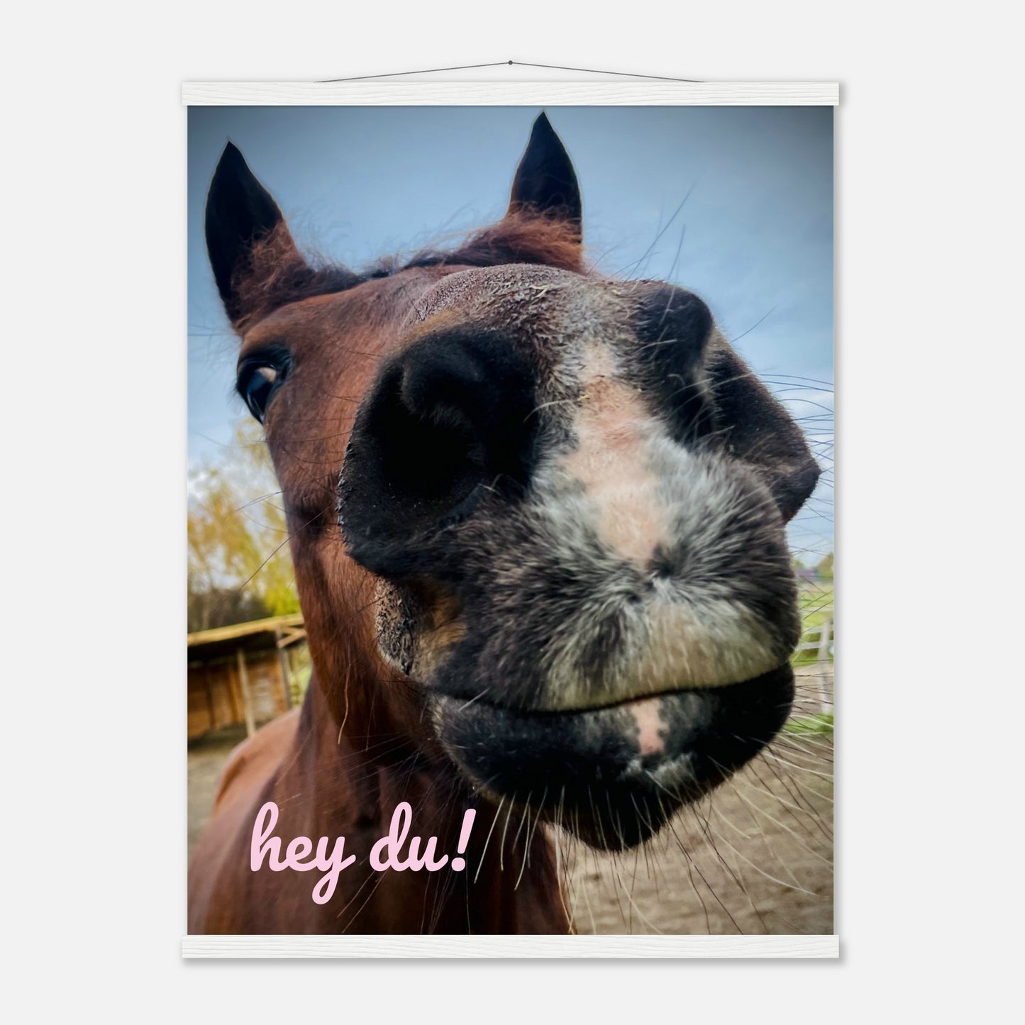 af1adc91-57d1-4e84-ba24-eb505c88f4fc