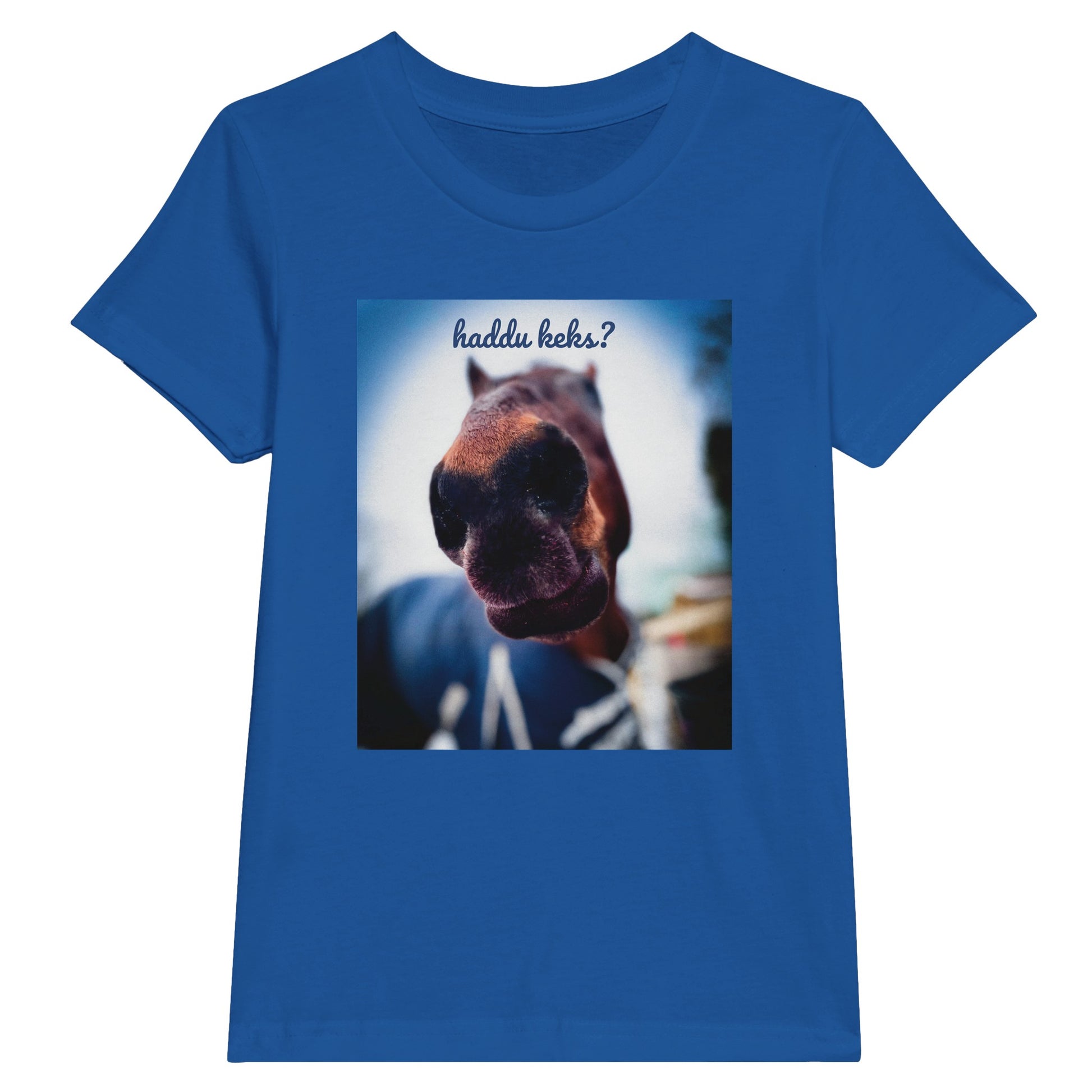 afad8b85-d33f-4759-8c36-154e5404f261