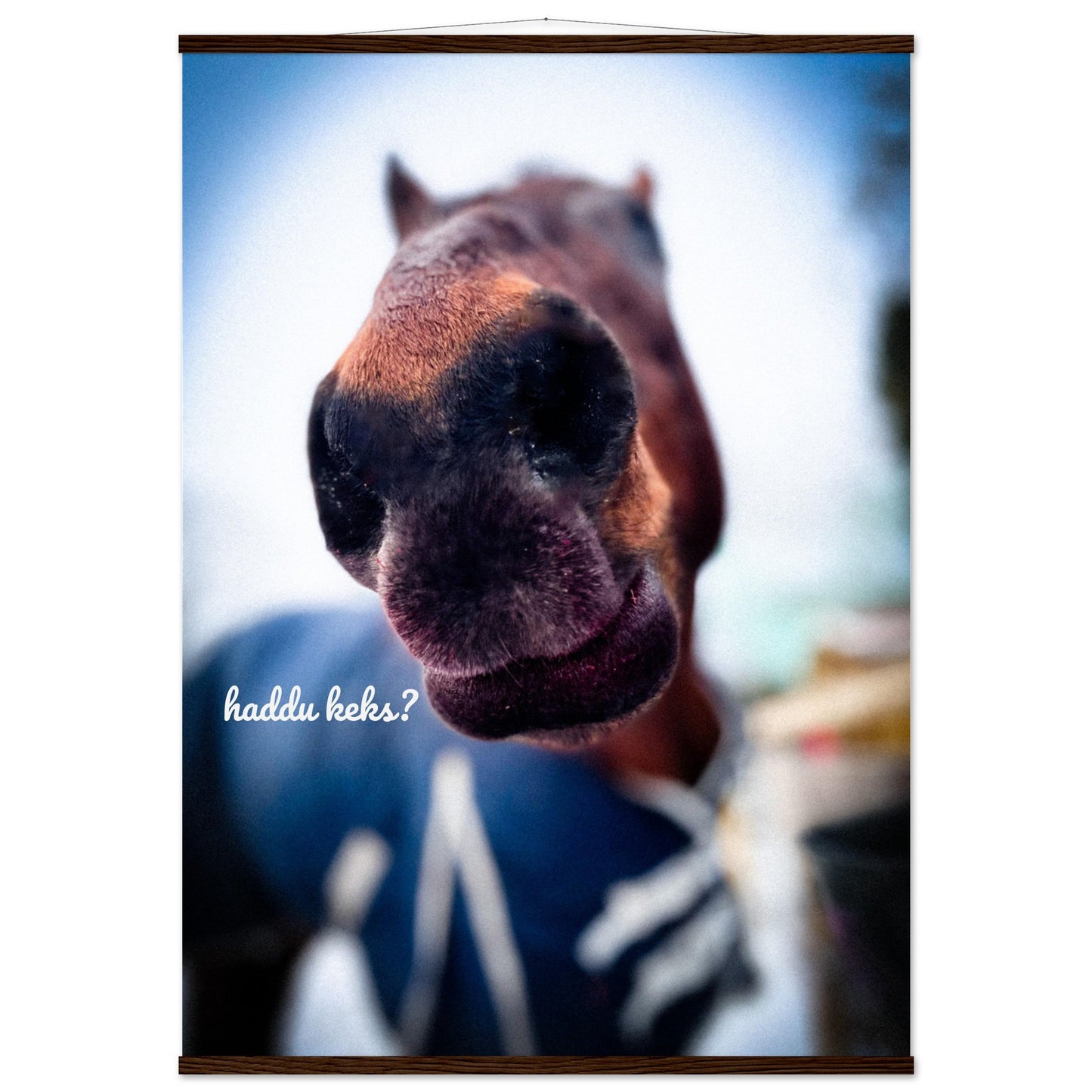 b63ef113-dc00-43c4-9f27-5a7057a628b1