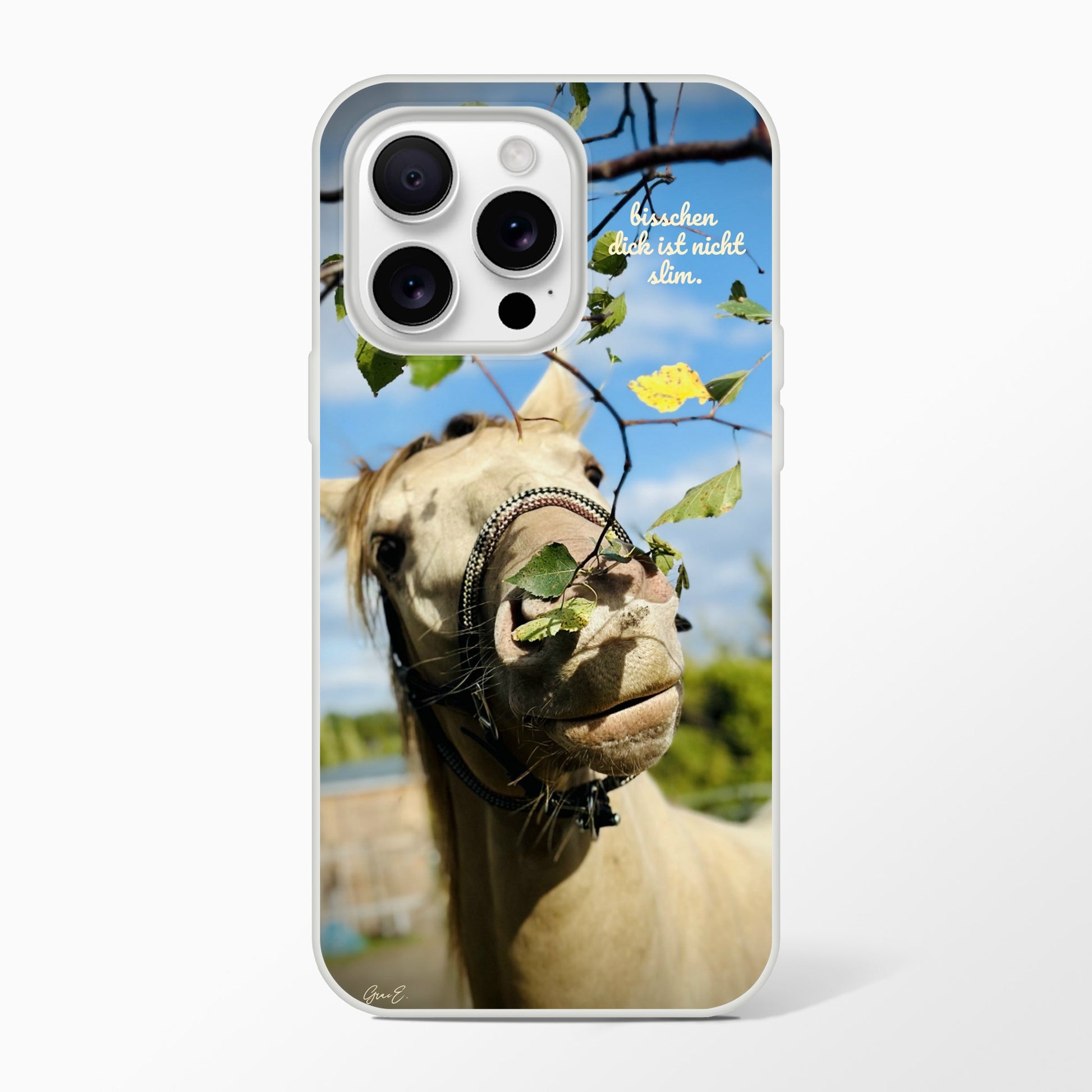 b66584f1-740d-4cf5-b055-c01d69c68dee