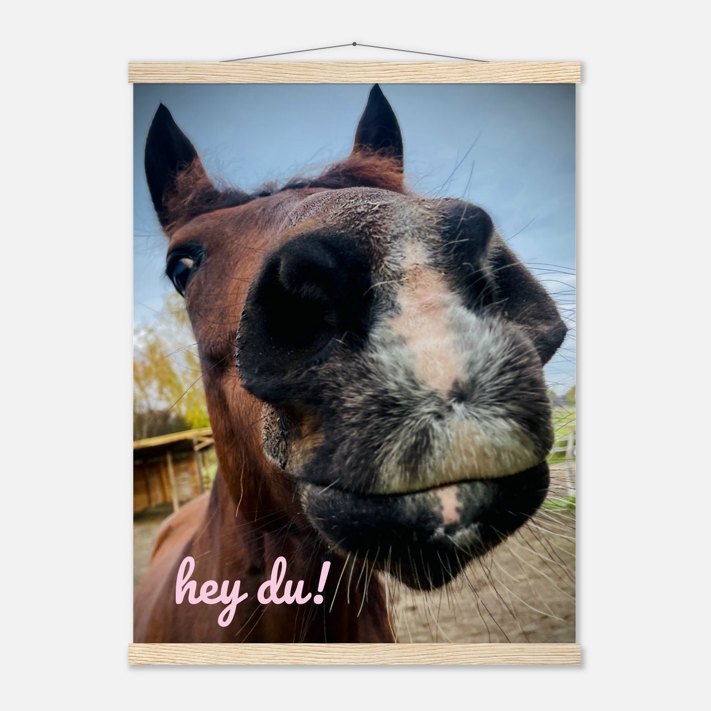 b68af583-f7f2-4c37-9489-6b0a18e97c29