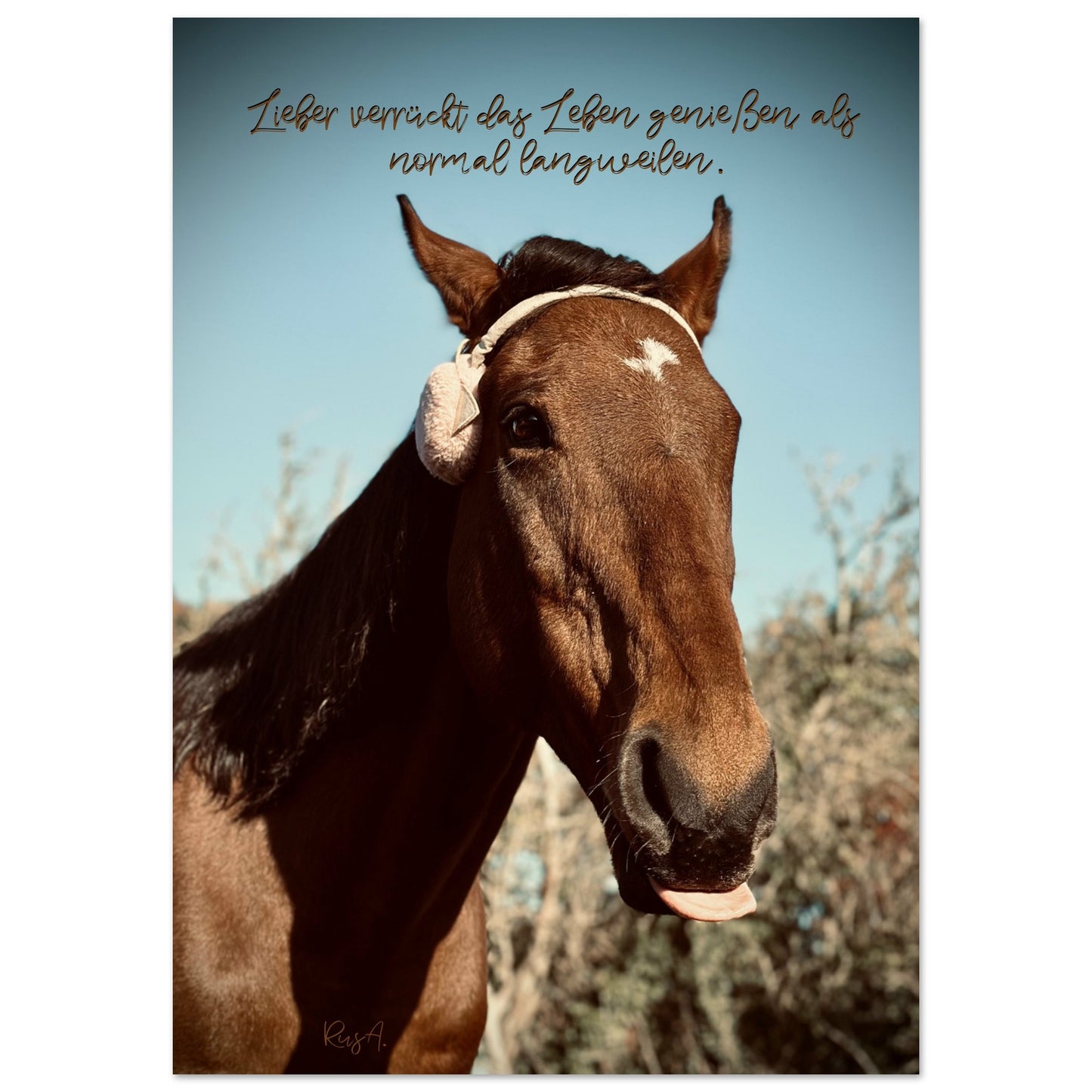 b9ed91b9-4046-4403-a438-40bbee58ba73