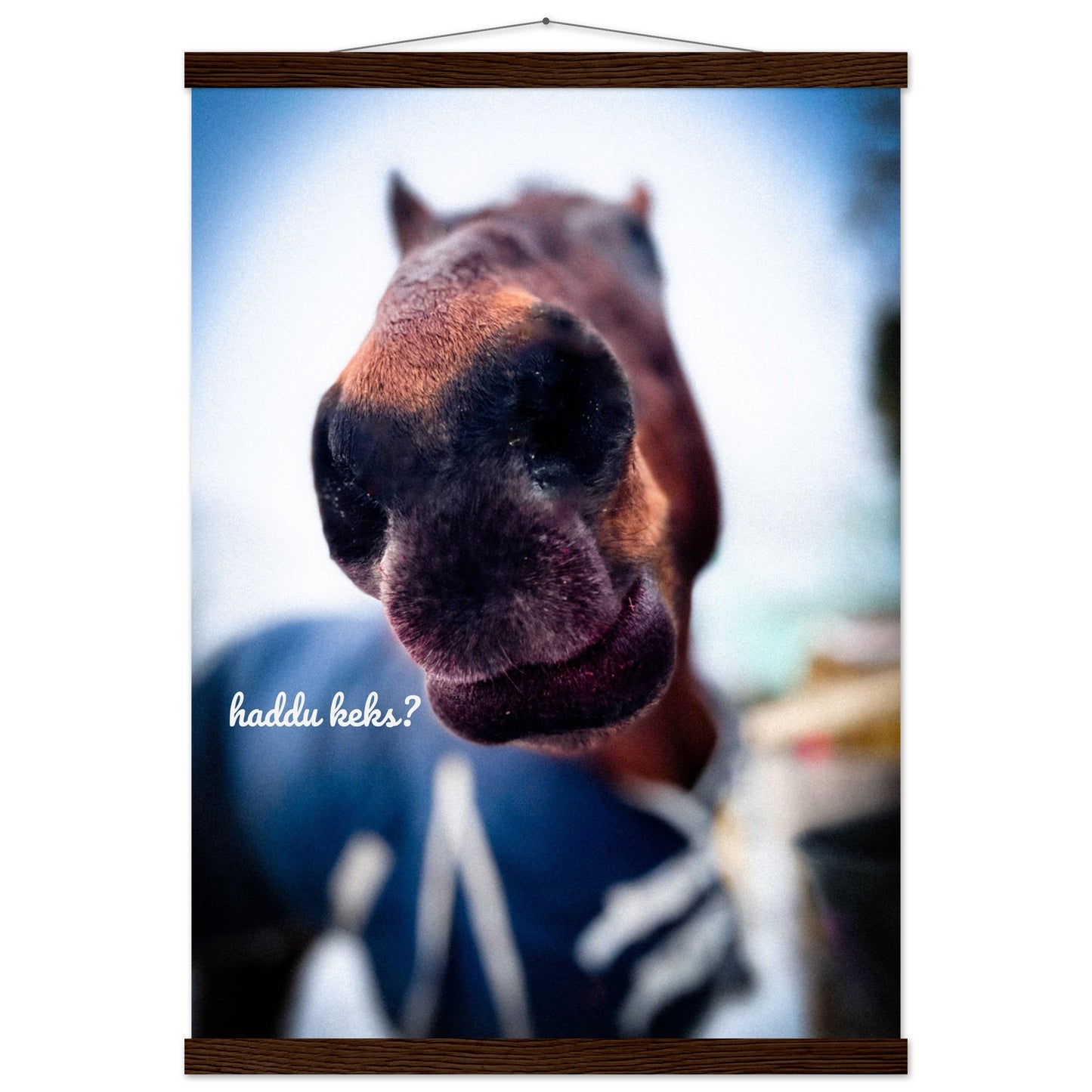 c2b8a9cf-548c-4b21-b3f7-7ae3b697c82a