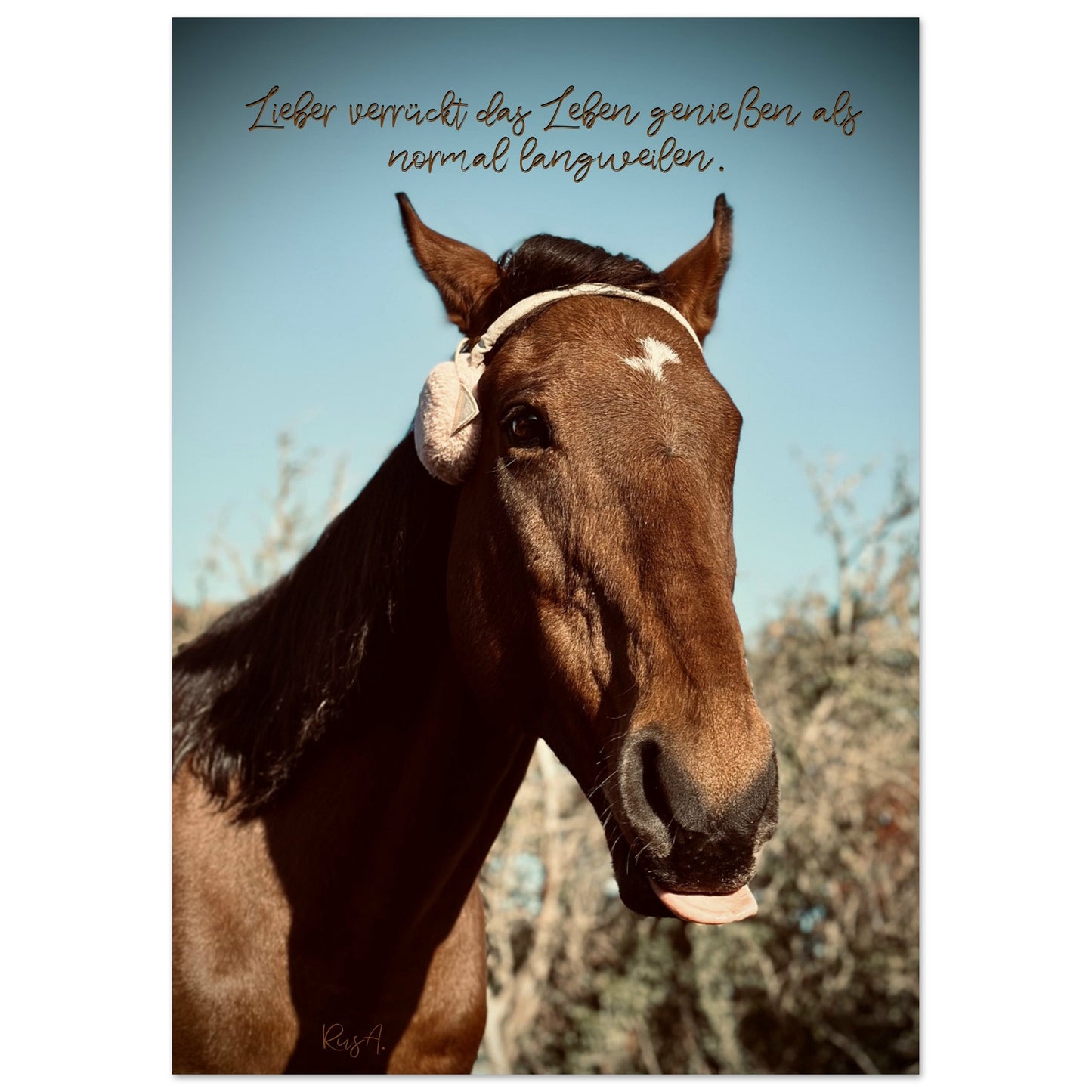 ca441322-703e-43be-90bd-89f20de68d2c