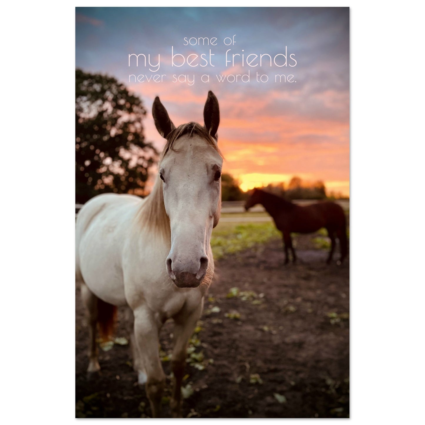 ca53531c-9643-4d15-99d1-0b9d3a16f38b