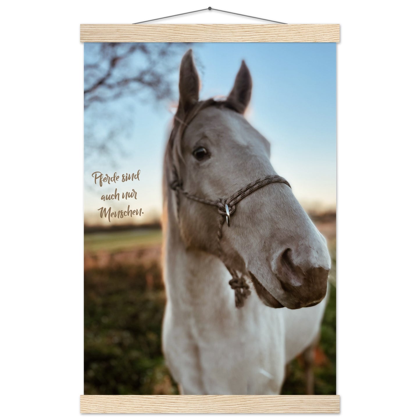 cd3e81f9-75a2-4ab3-9203-6618cc007281