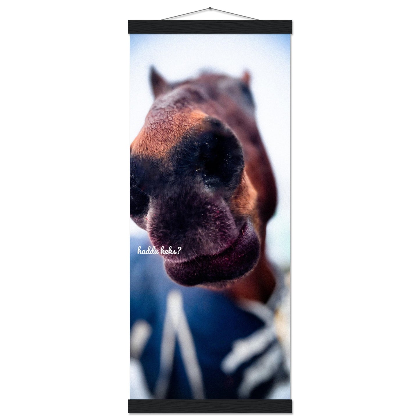 d25c36cf-360e-4e37-bfc6-e97ab867b205