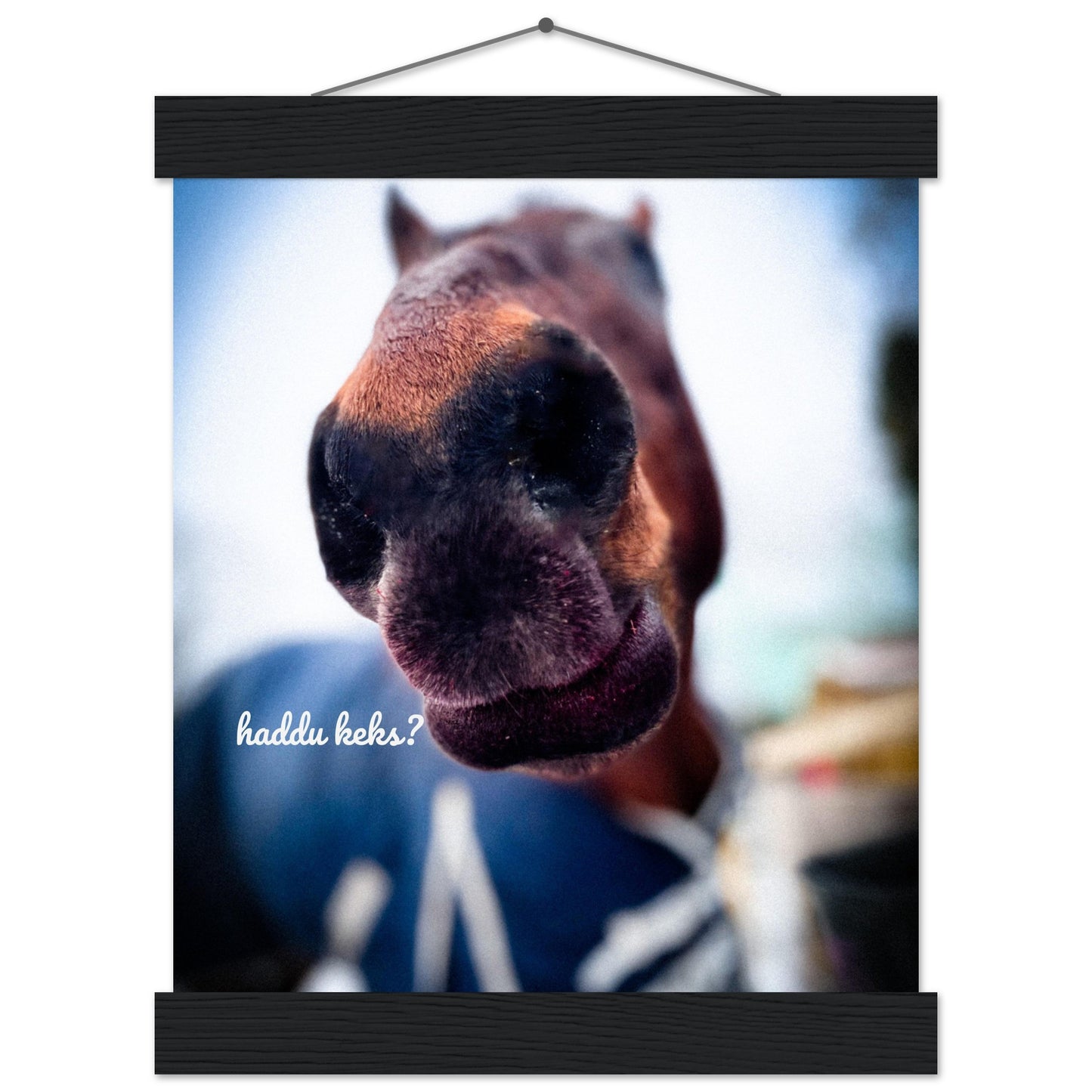 d7e2fedb-ca3d-4f39-97fc-a1969878ccb7