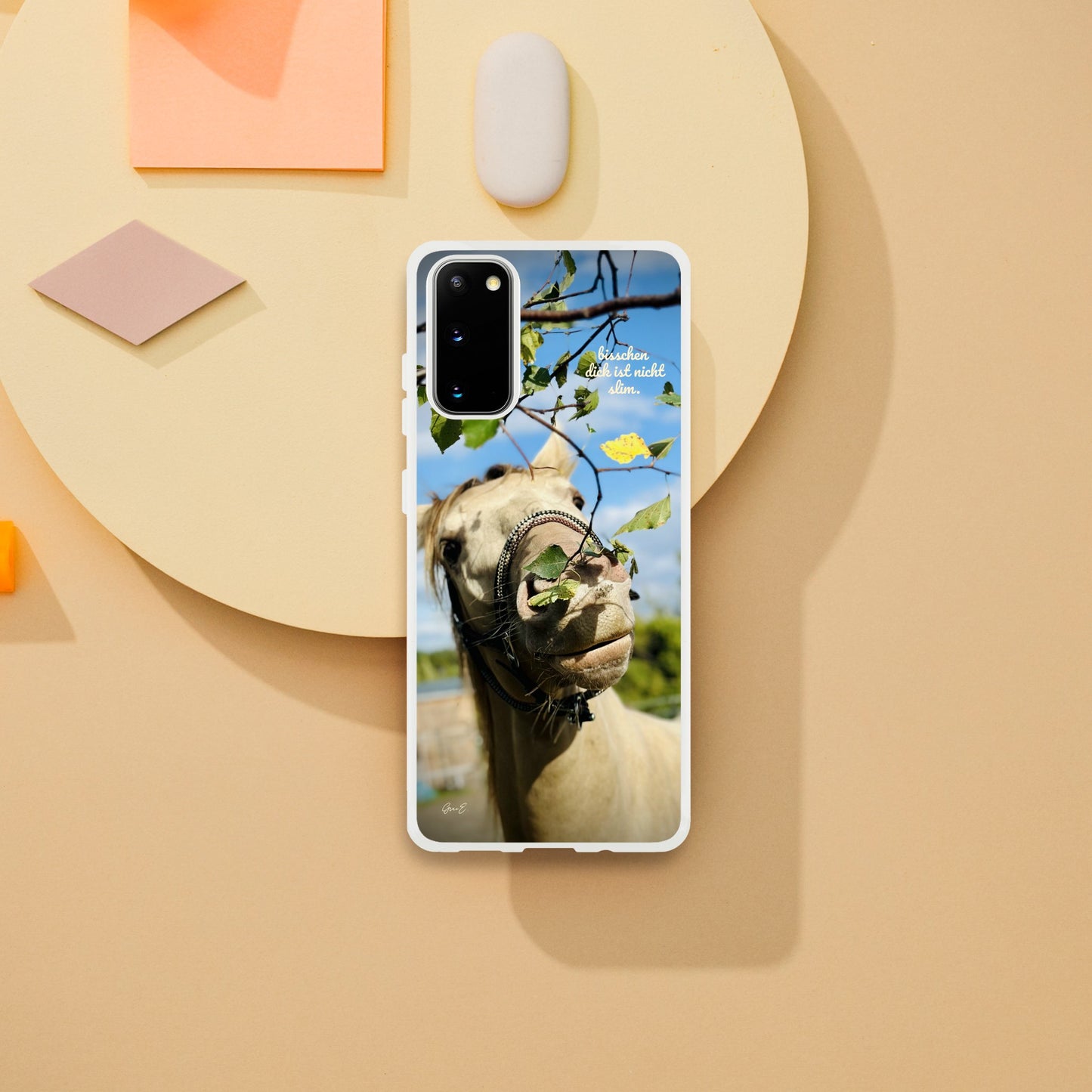 d97ce567-442f-49bc-86e6-0c6ced1a89a9