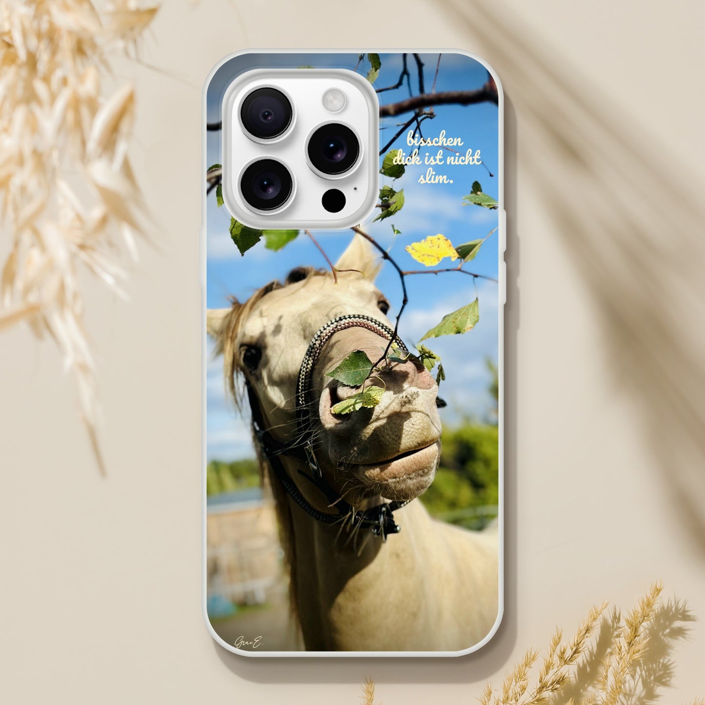 ddf5d901-8815-4689-8d28-f582f8c709ca